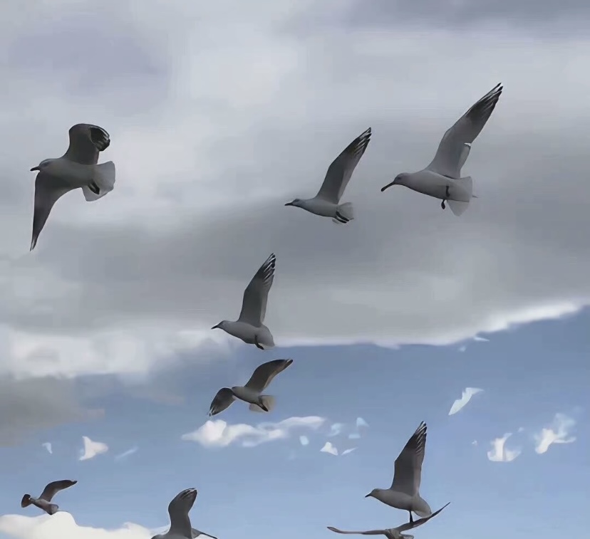 我可以完成100-3500字的演员脚本