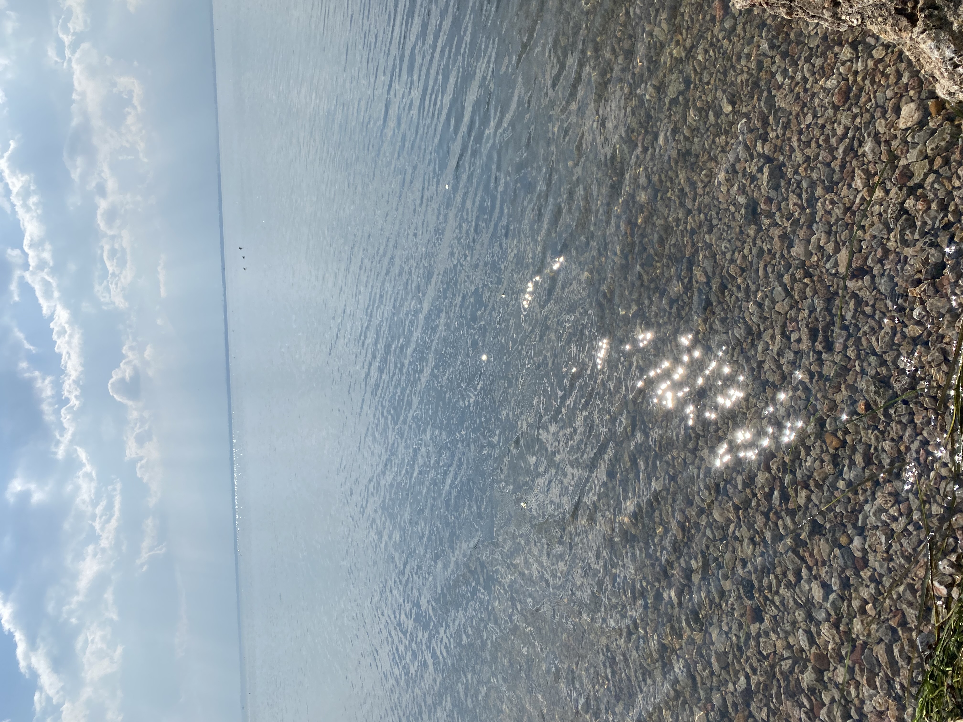 我可以运营一份气体业务，运输制作处理