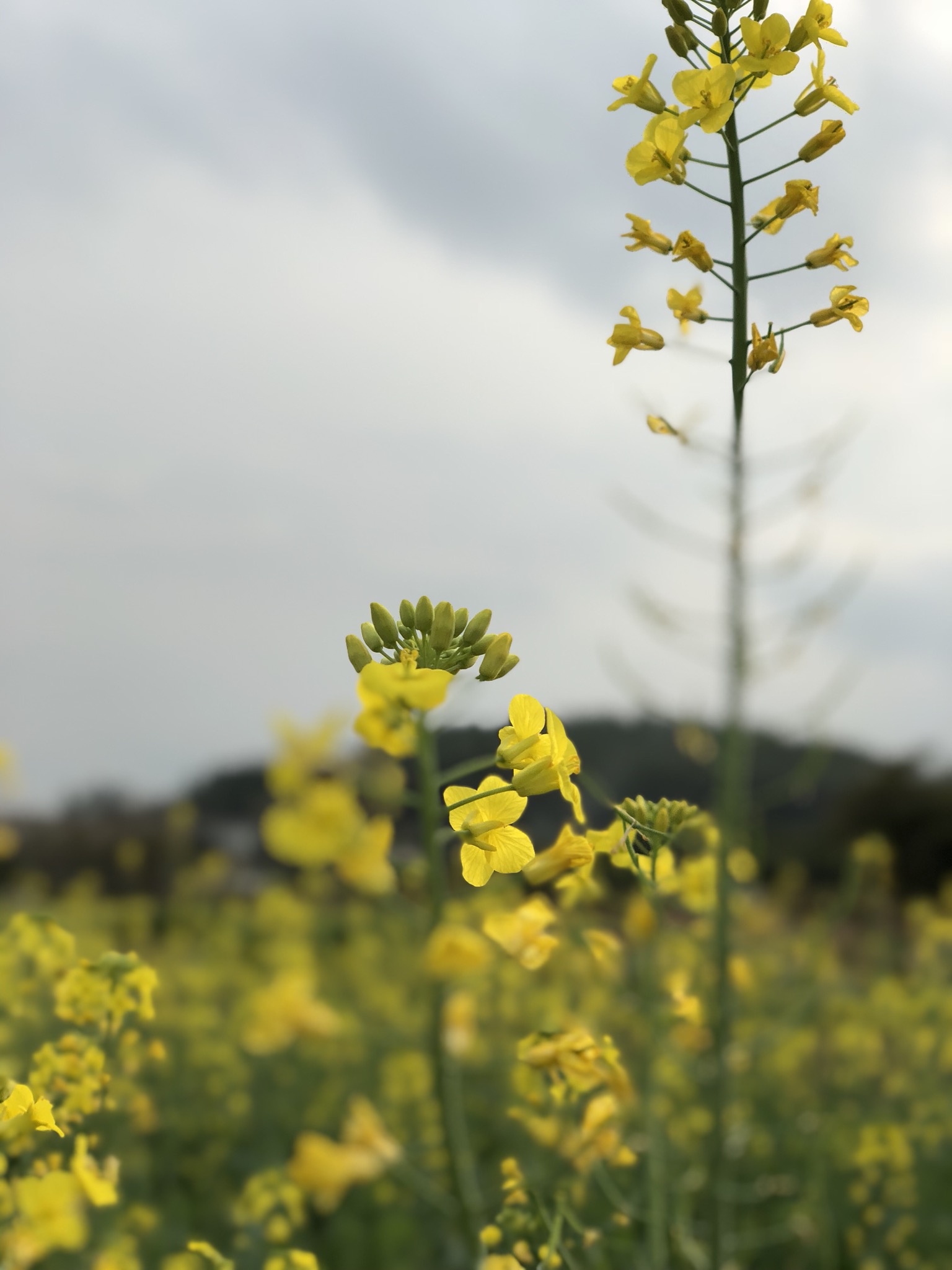 我可以10分钟学会销售技巧、咨询