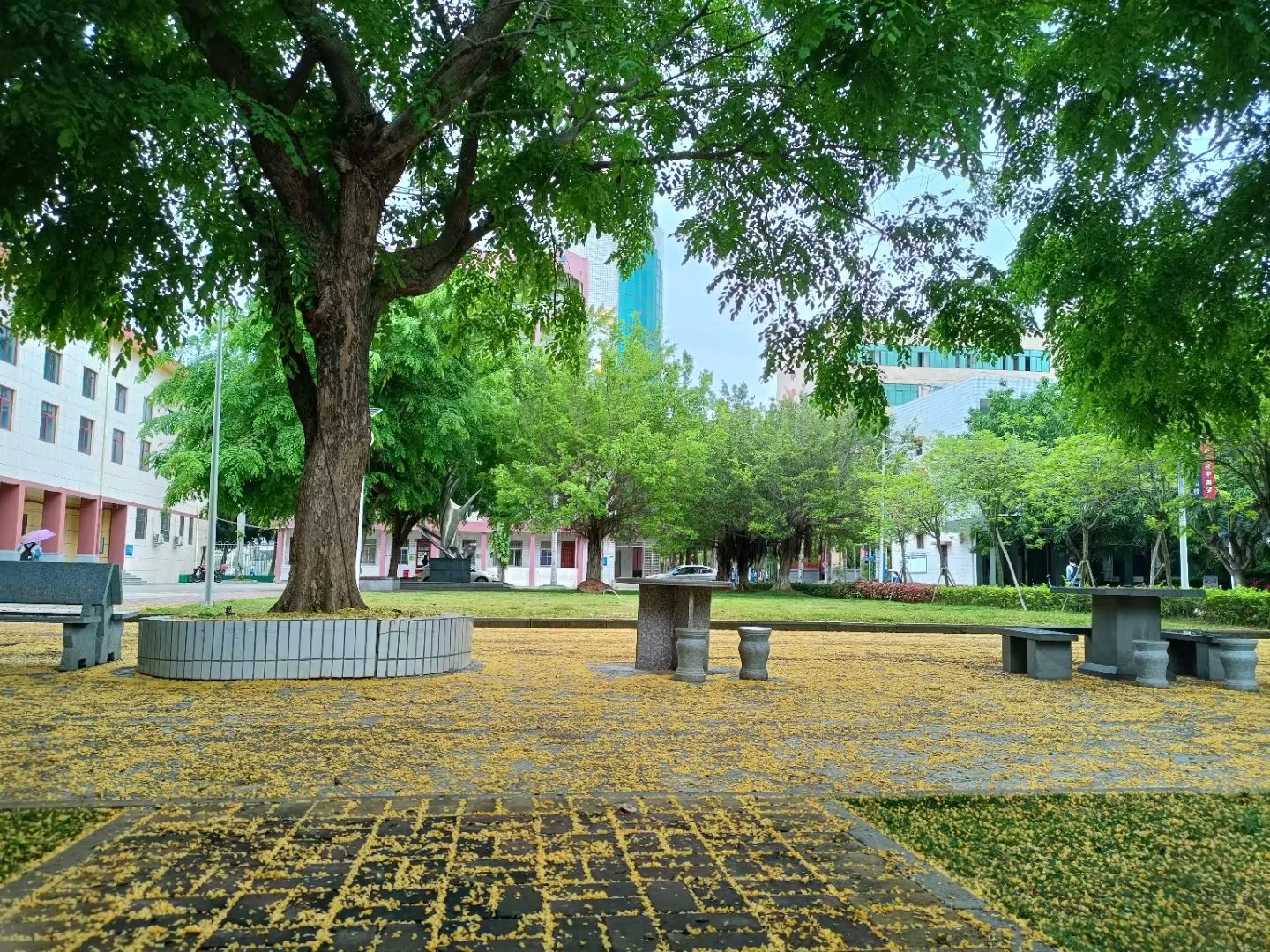 我可以叫起床，陪写作业，陪聊，50元起