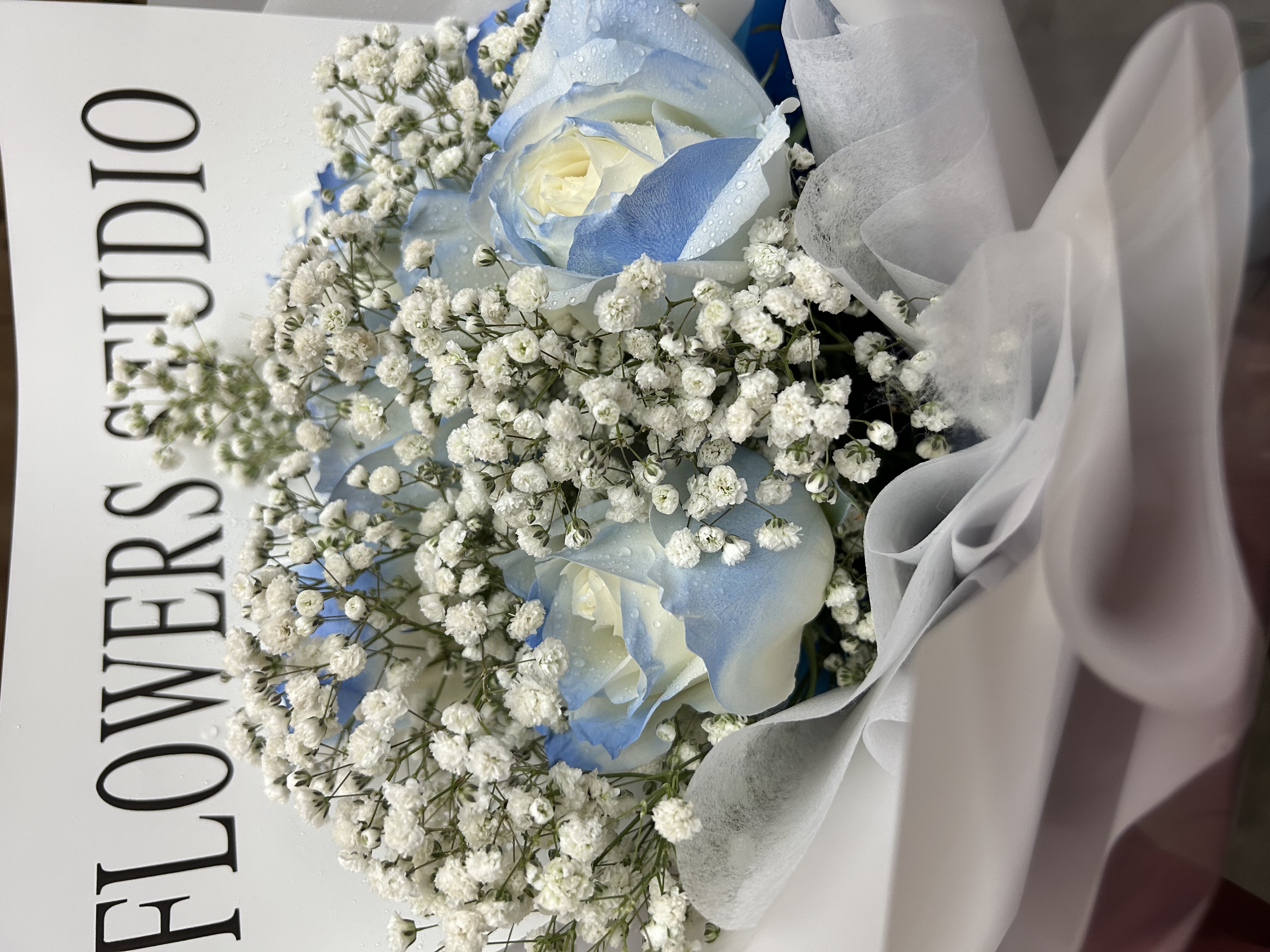 我可以全天在线 500字文章等