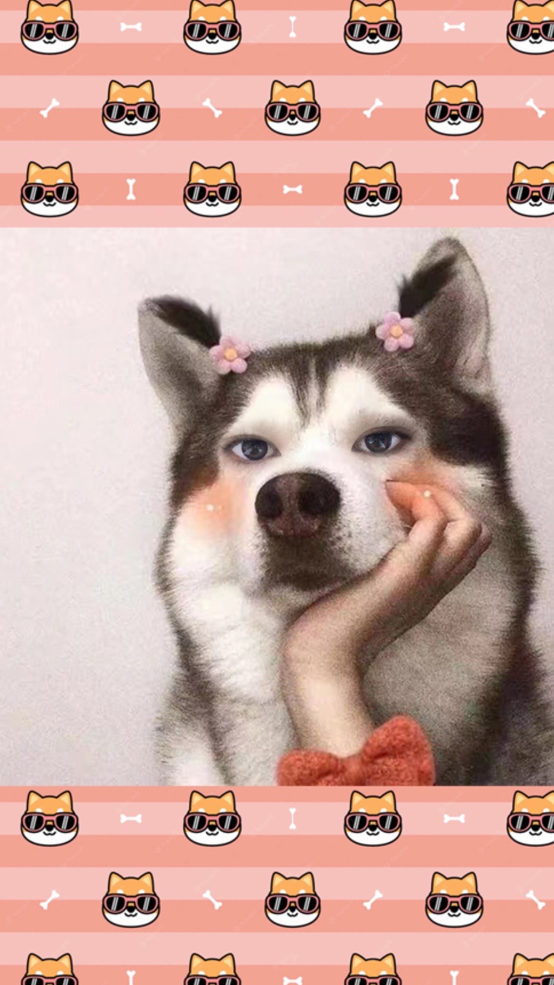 我可以提供一次穿衣搭配服务