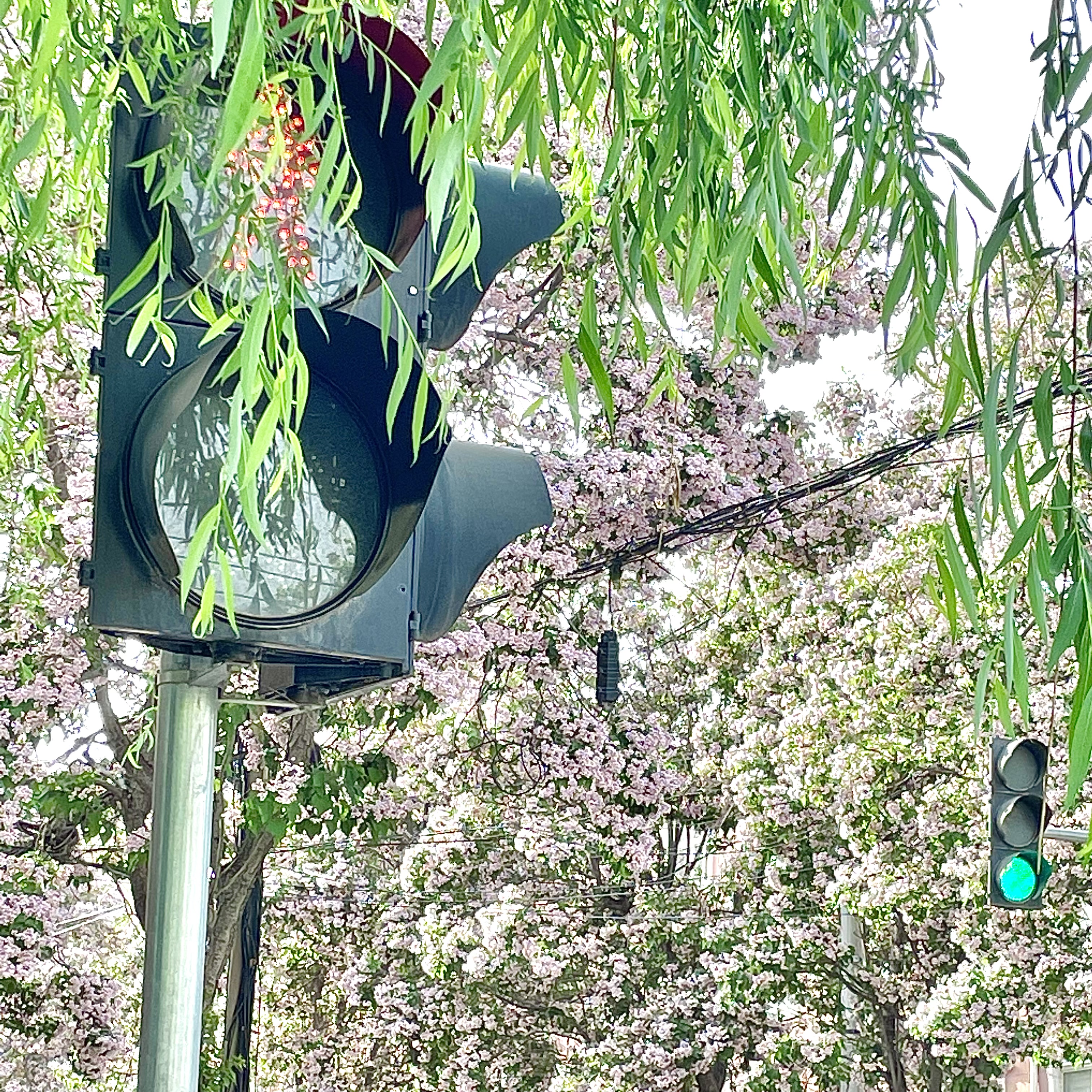 我可以有叫醒服务或催睡服务（20:00-9:00）