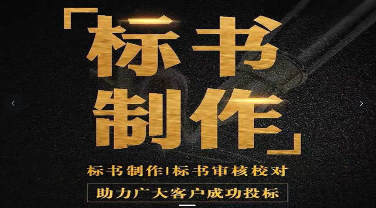 我可以制作标书1份、审查标书