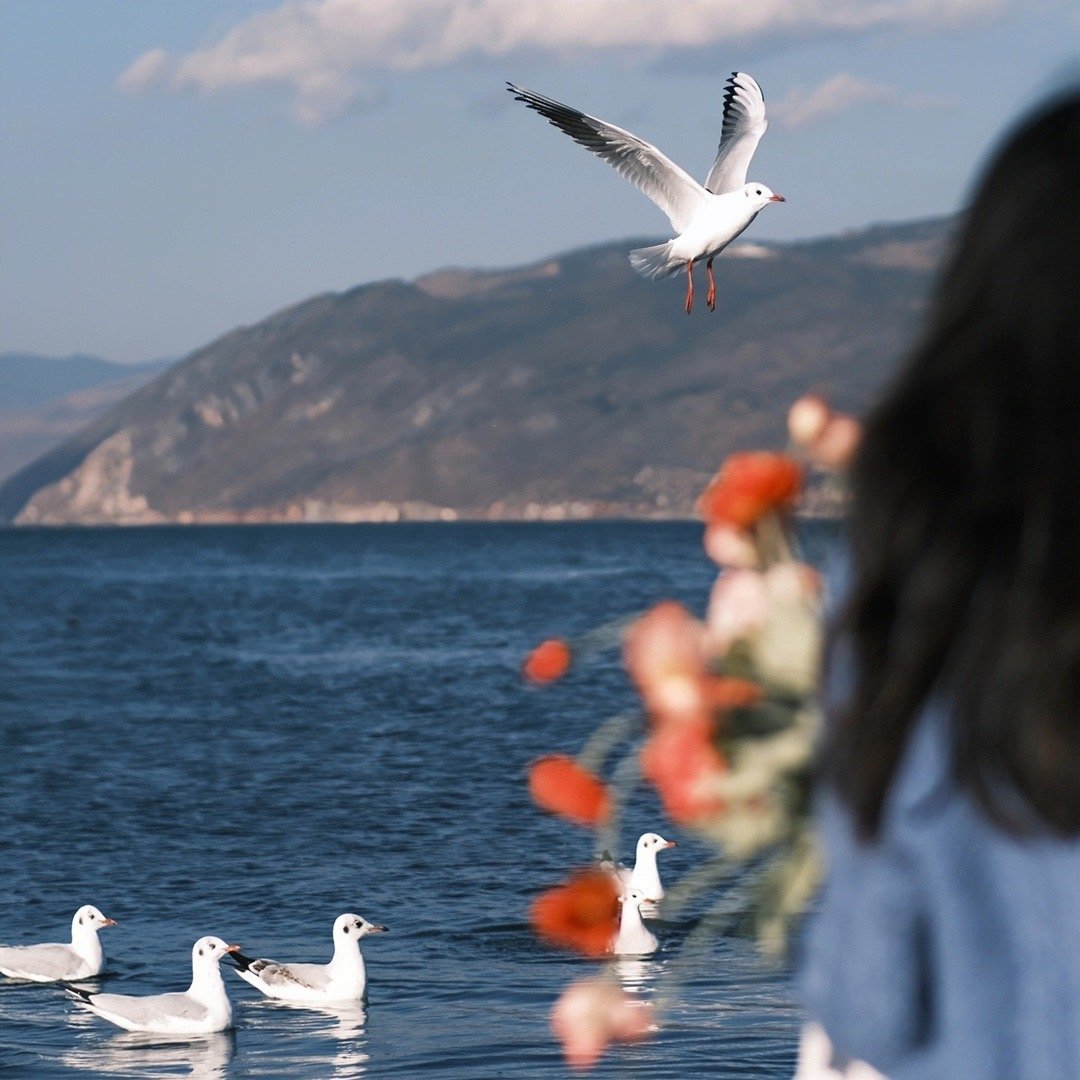 我可以淘宝拼多多抖音运营客服均可打字75/分钟