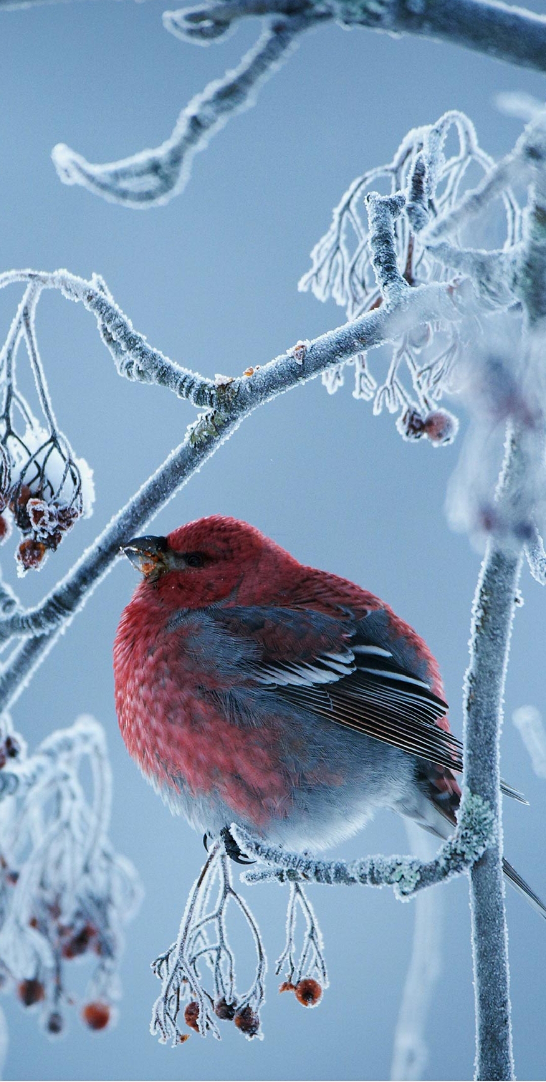 我可以写一篇推广文案，可先咨询再下单....