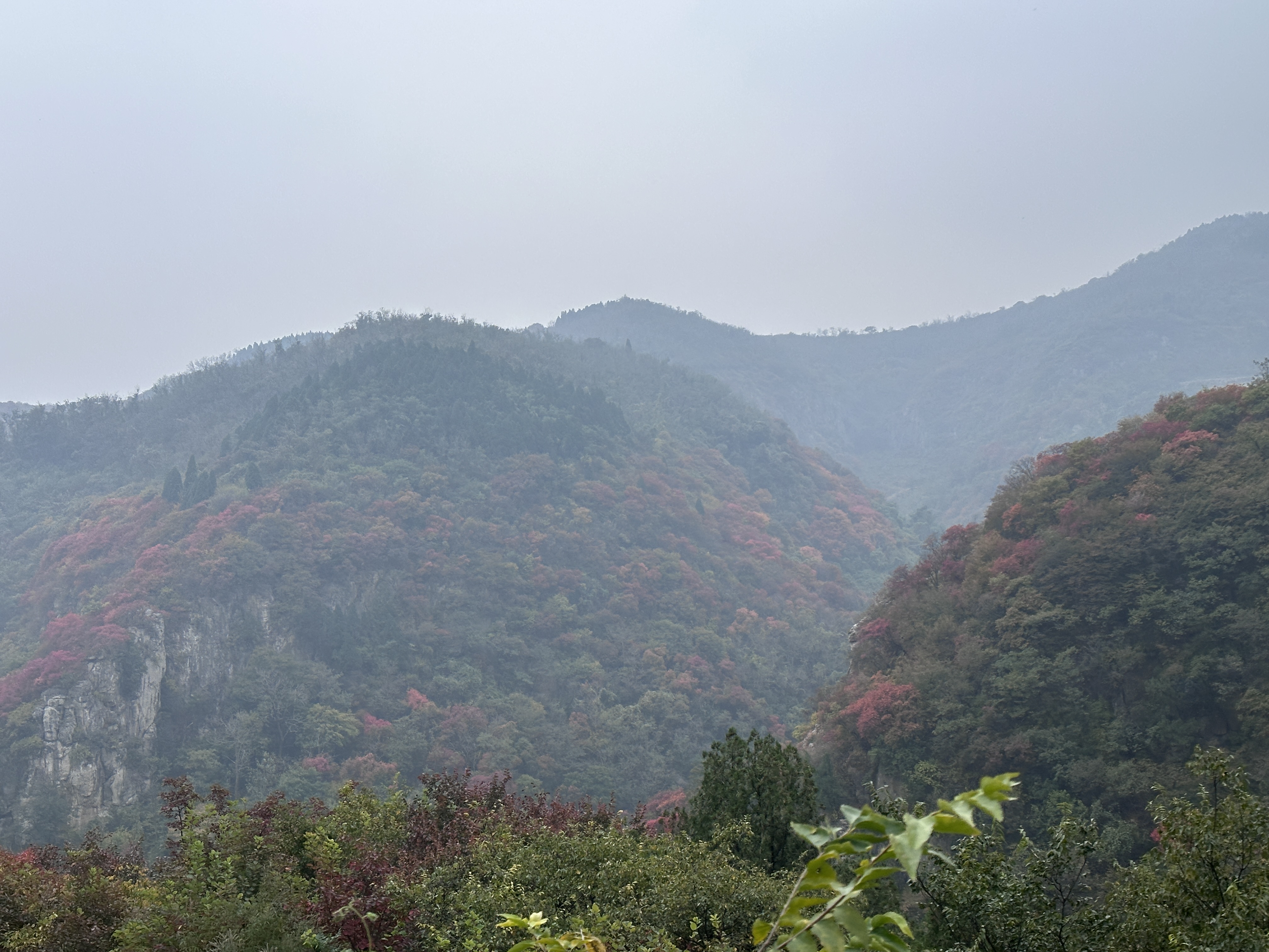 我可以解答1个数理统计中困难的题目