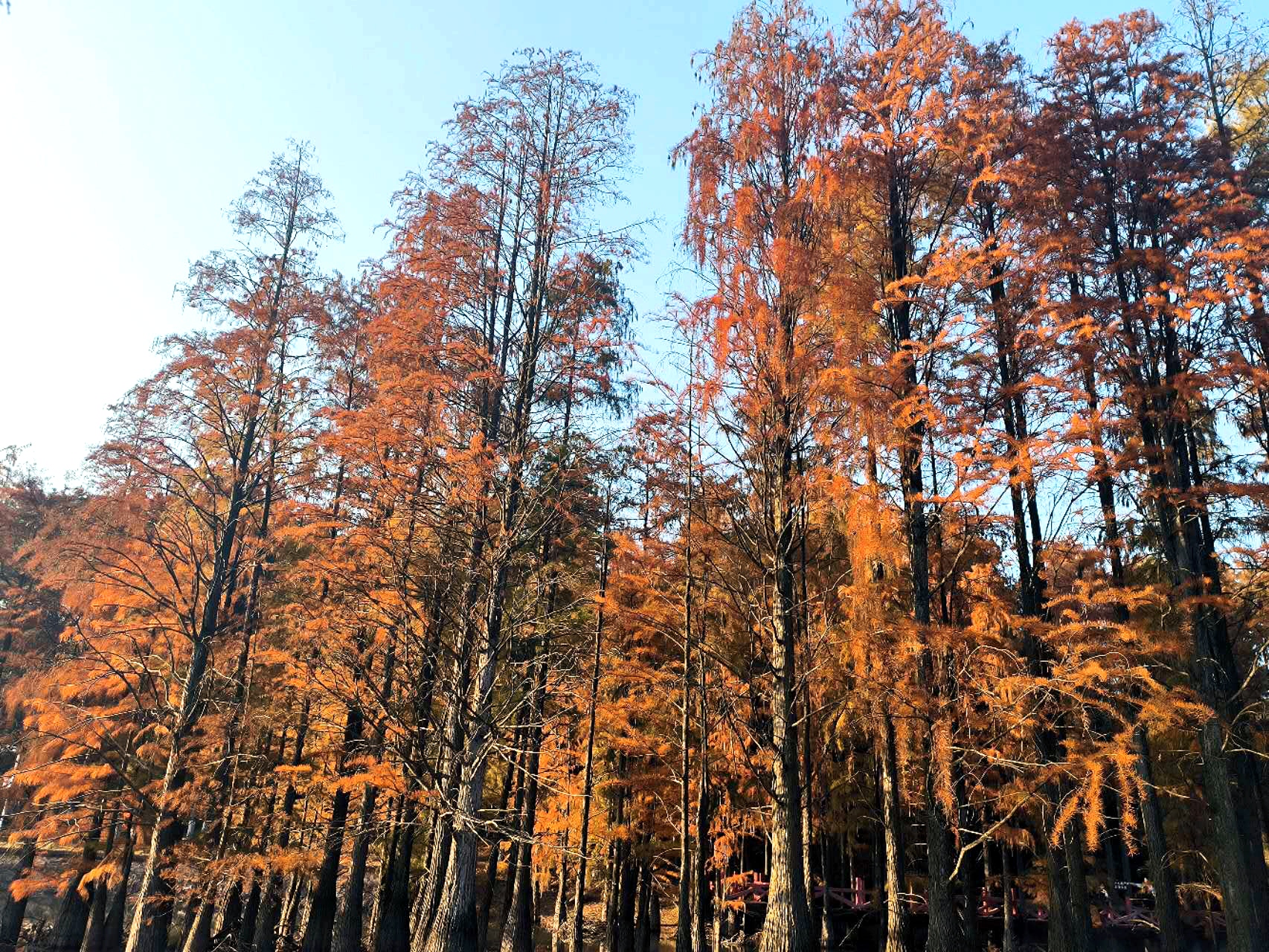 我可以独立编写1篇微信公众号运营