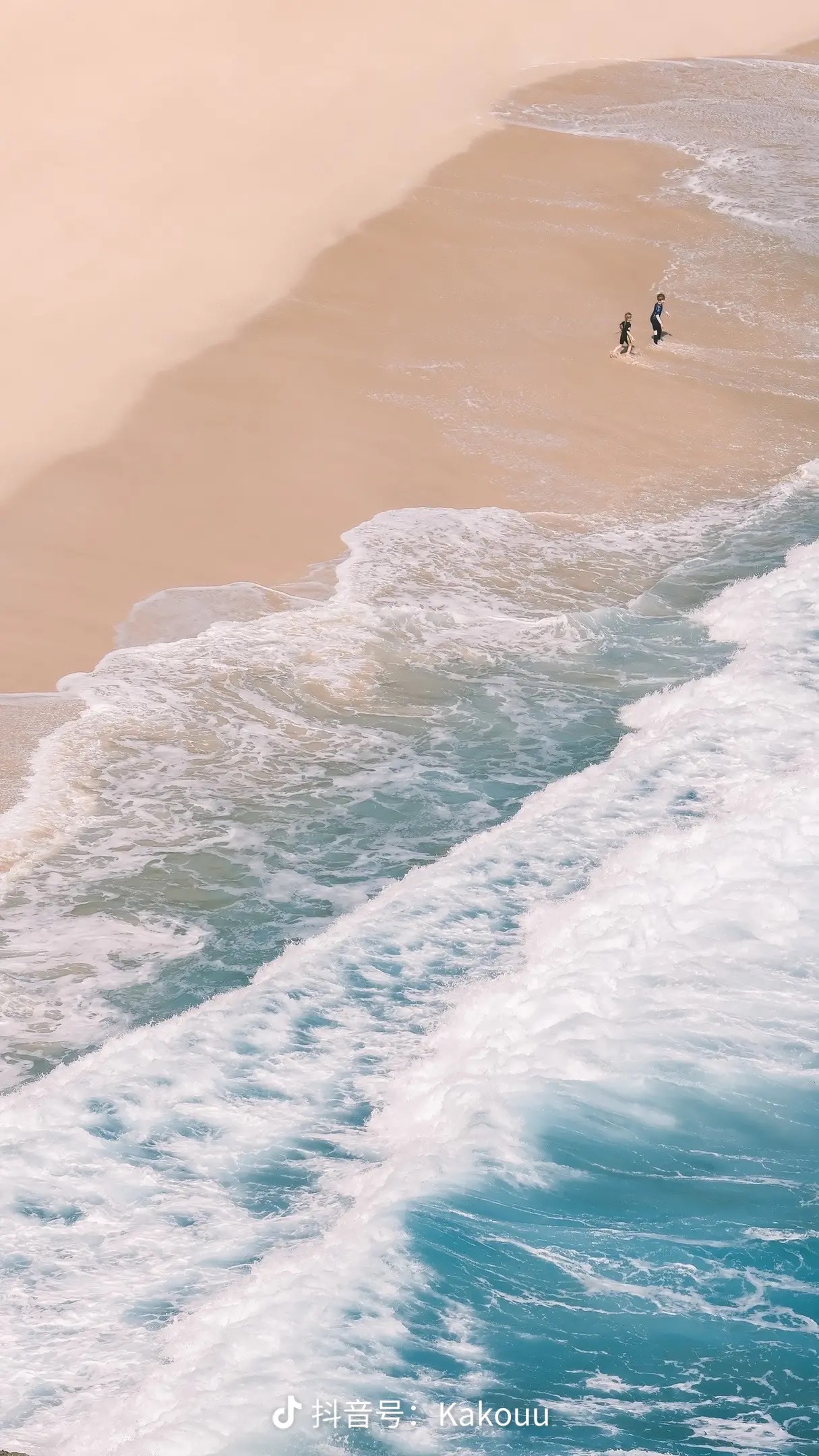 我可以做图文排版，插画设计，1整套vi设计