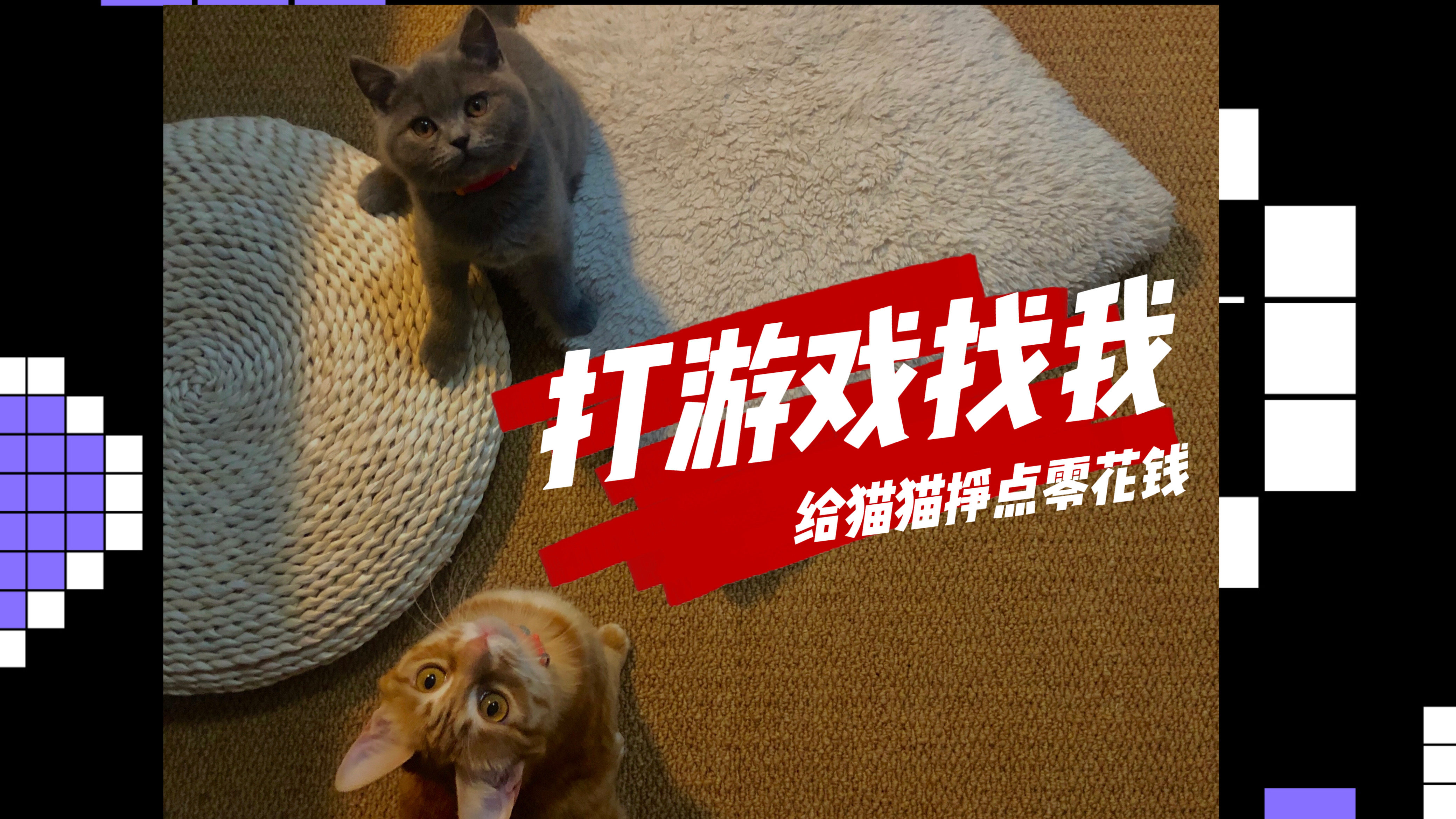 我可以ow/apex等游戏陪玩/代练 陪玩一小时¥50