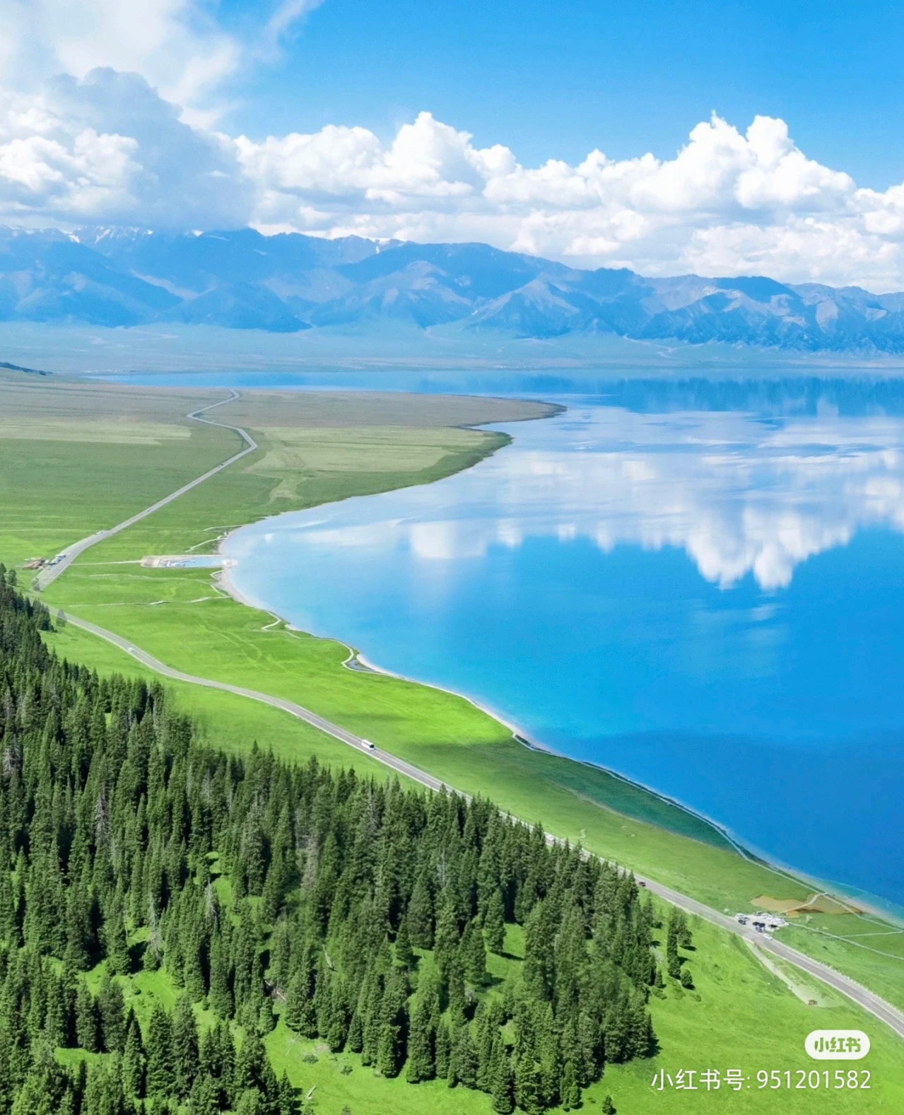 我可以在一周内做精准的商业拓展、市场公关，进行高效BD