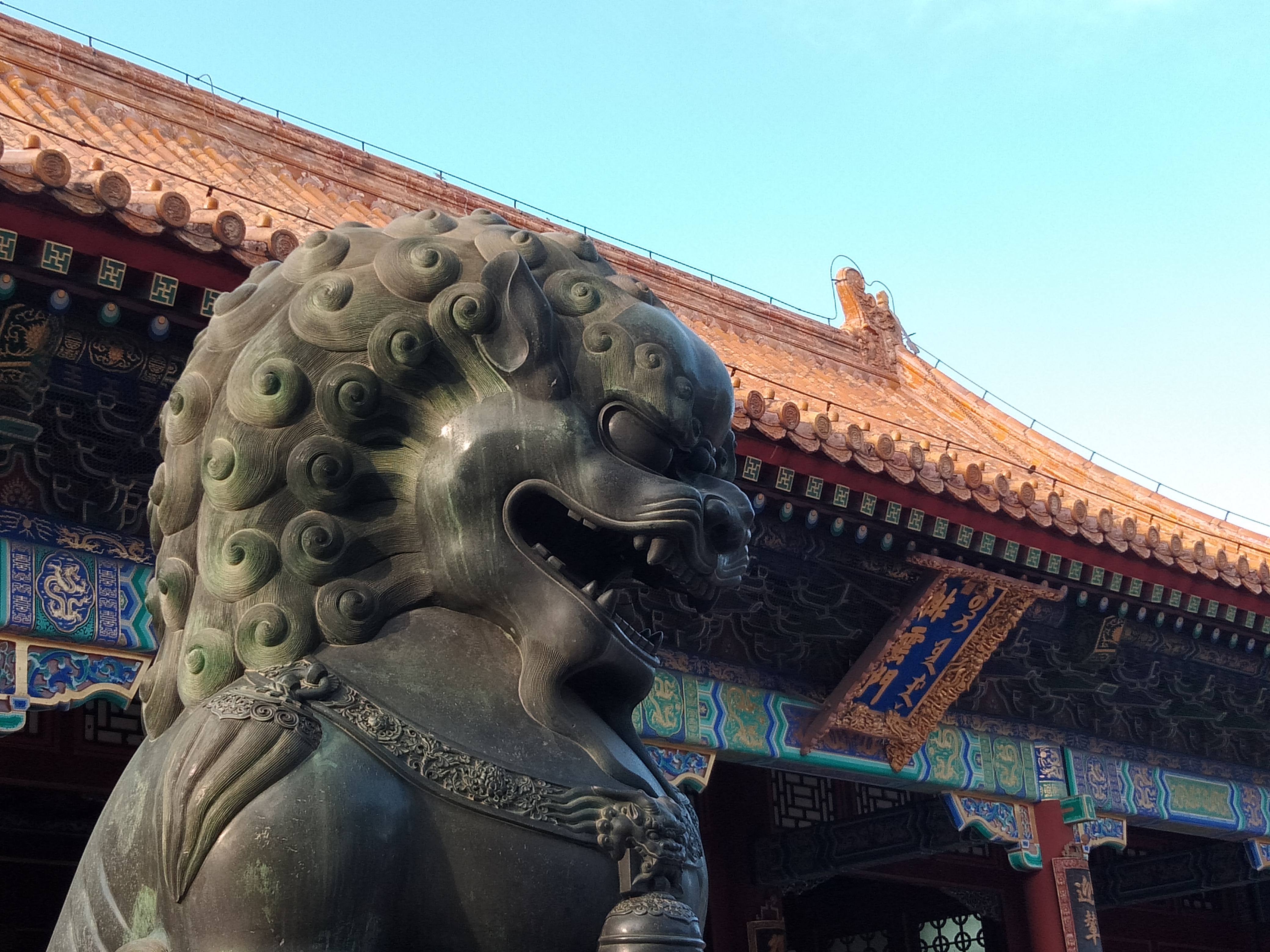 我可以帮你实景拍照10张