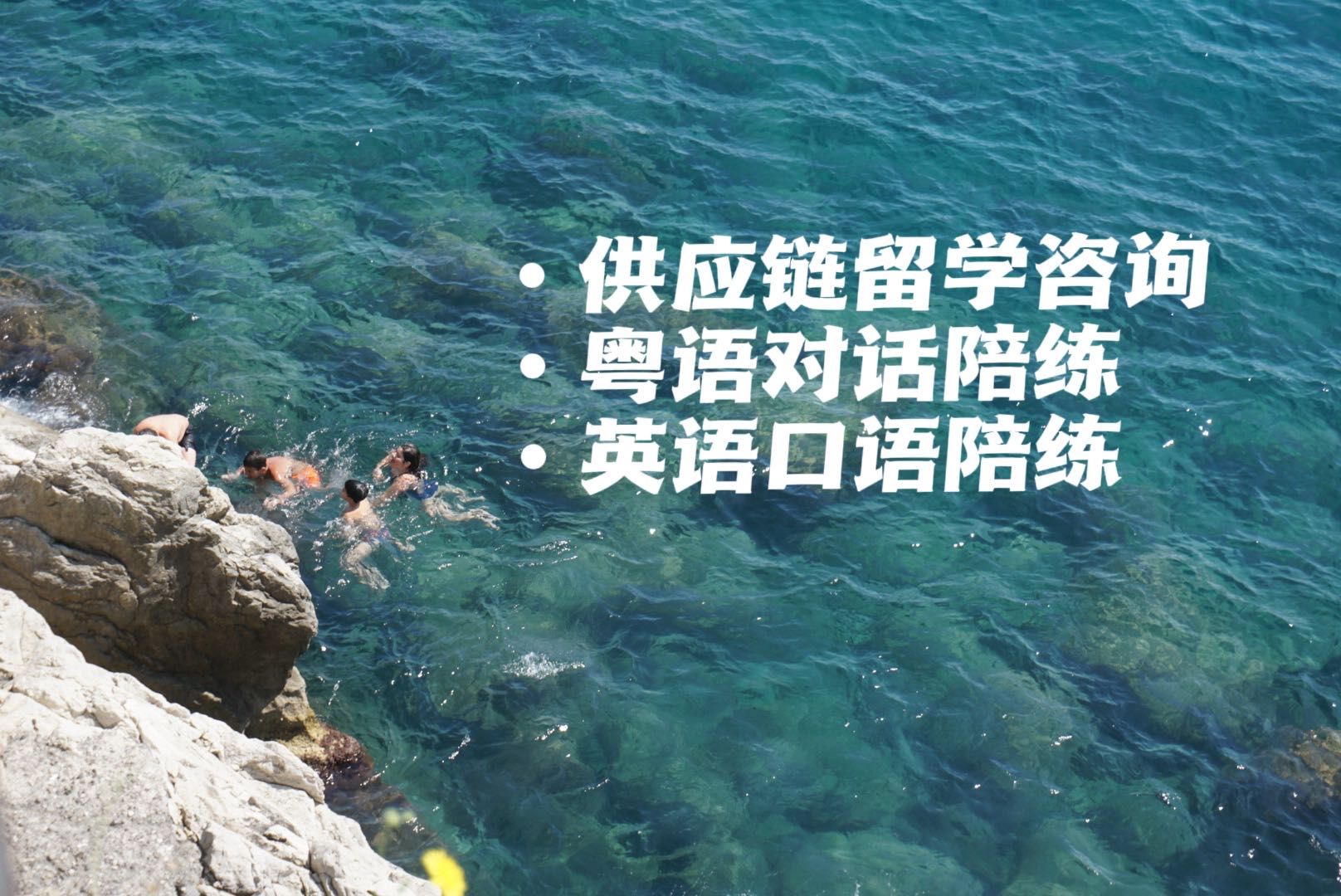 我可以供应链留学咨询，30分钟粤语对话，英语口语陪练