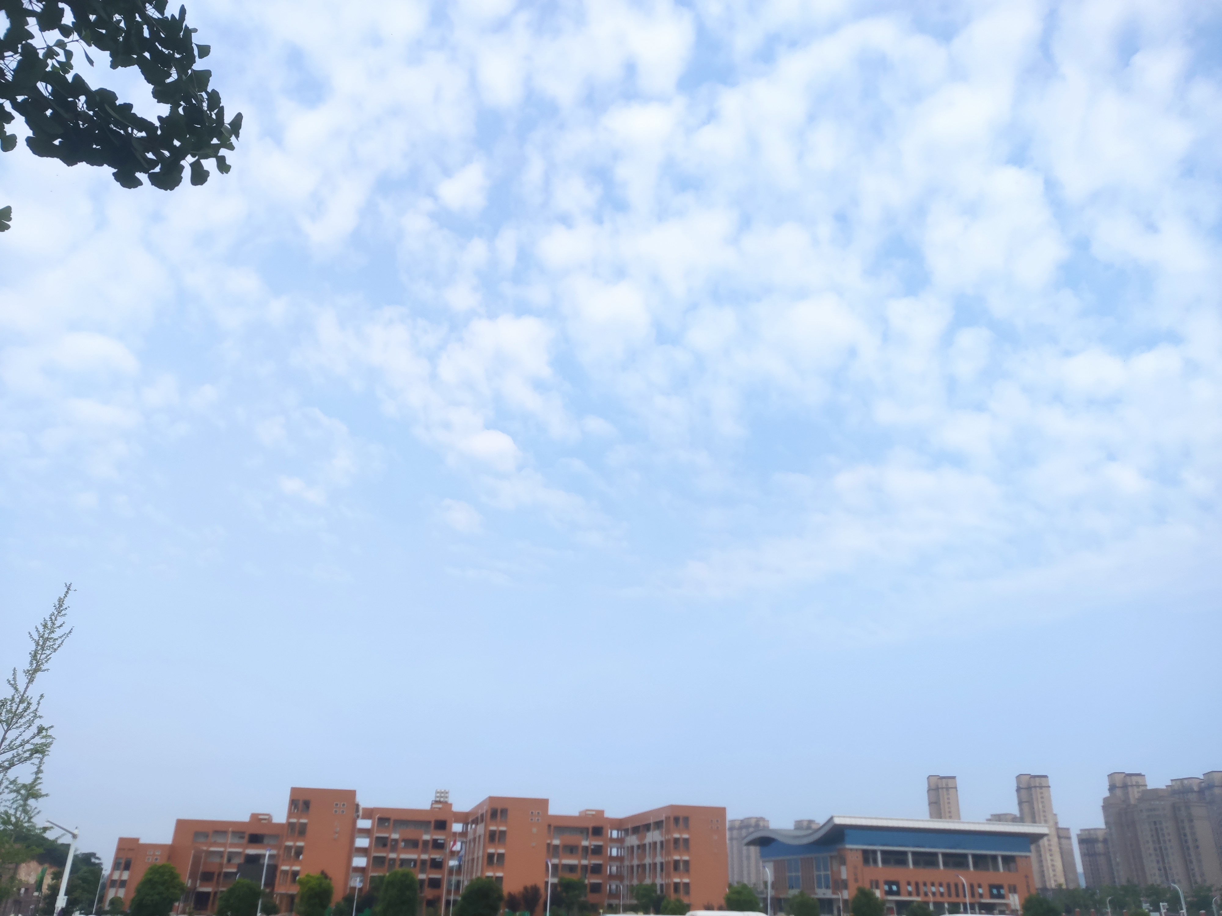 我可以可以辅导英语作业，英语成绩提升，暑假两个月甚至长期