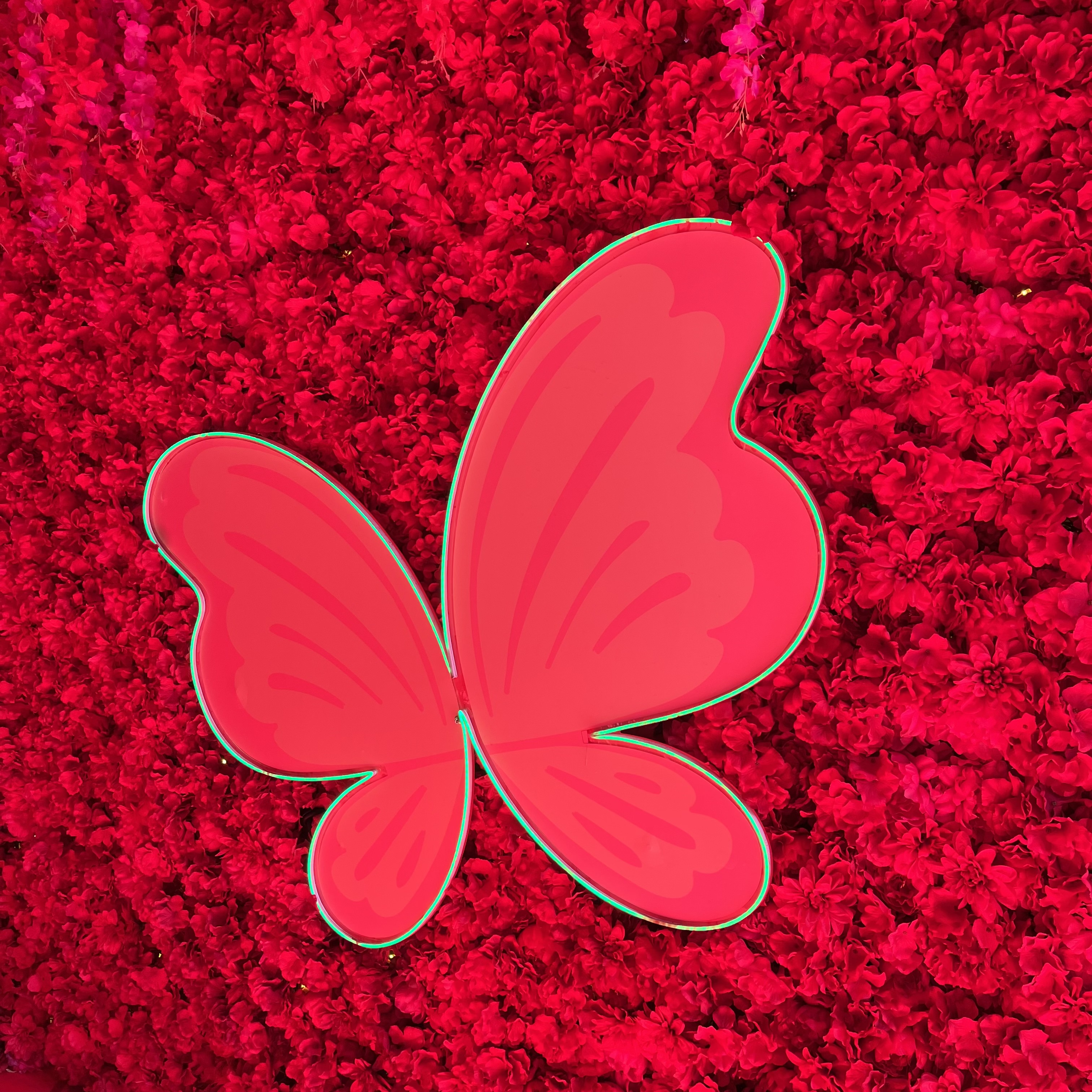 我可以为中小学生定制一份专属的学习方案、计划、指导