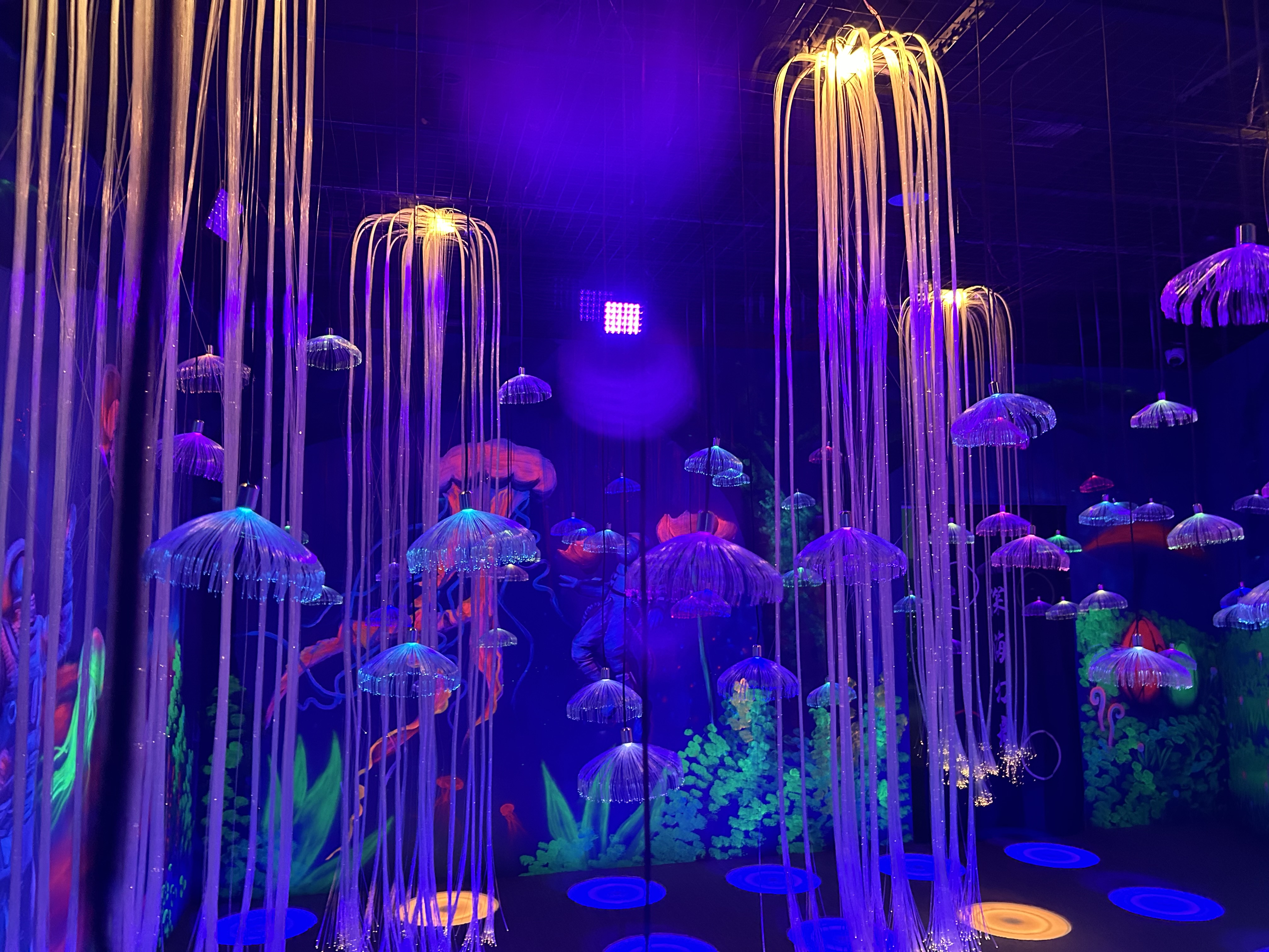 我可以完成公众号排版编辑美化，还可以完成15秒视频剪辑等。办公软件熟练掌握