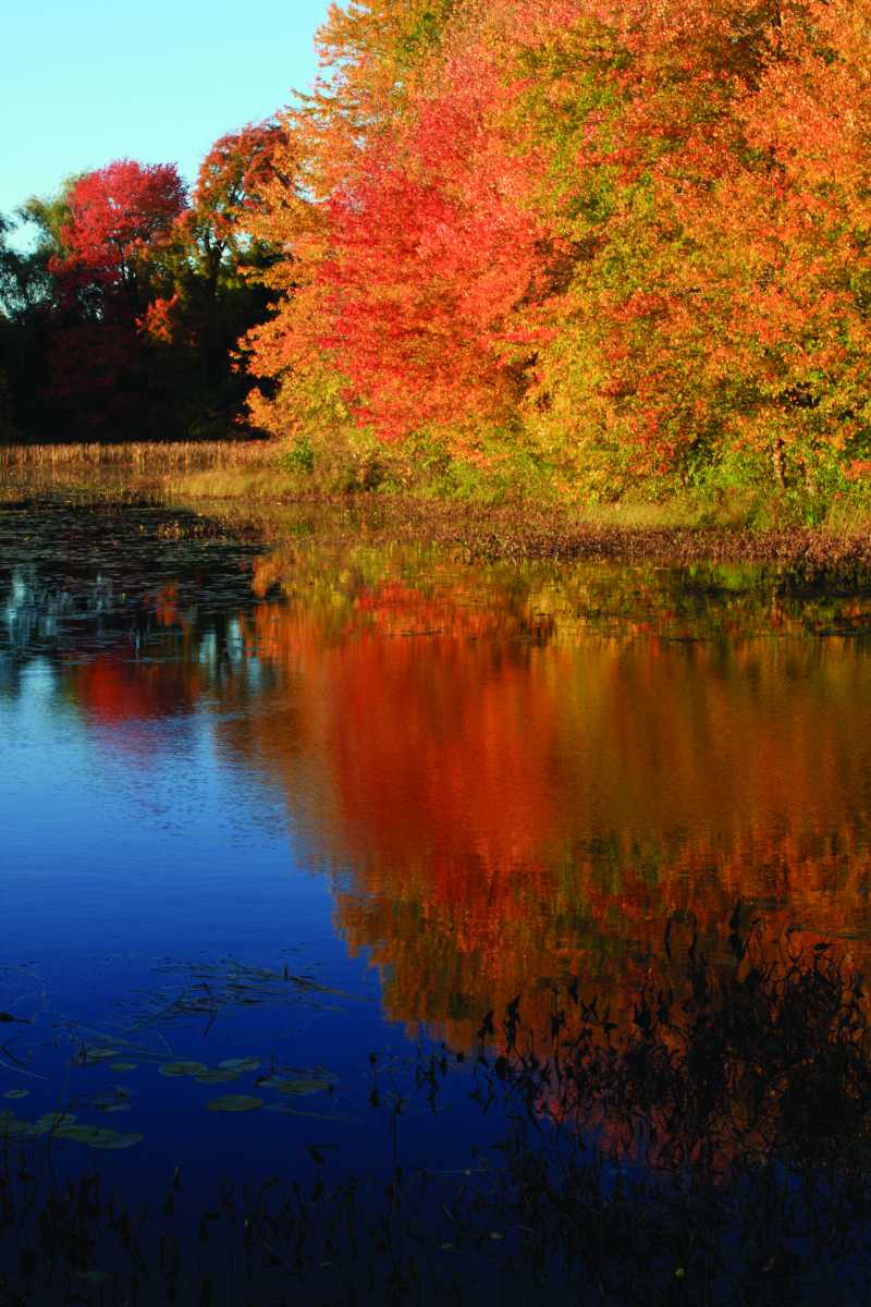 我可以为一本书籍或一篇文稿配音或录制音频