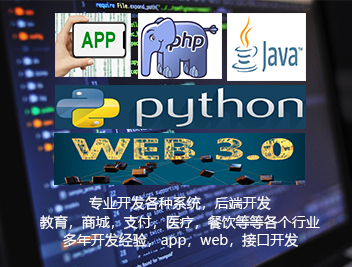 我可以开发100个接口