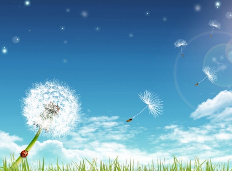 我可以您一小时的倾听者，包括叫醒服务，树洞倾听，监督服务