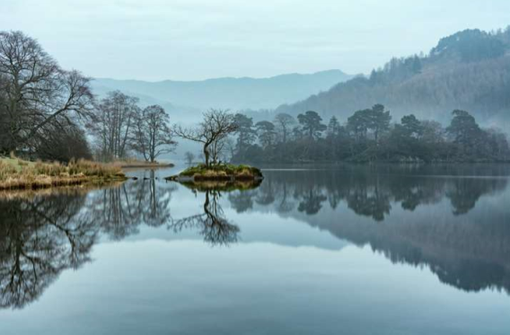 我可以一周叫醒服务，一个考试学习计划监督及陪考，一次就医陪诊，一个月每周末照顾猫狗，一个年度个税汇算清缴等