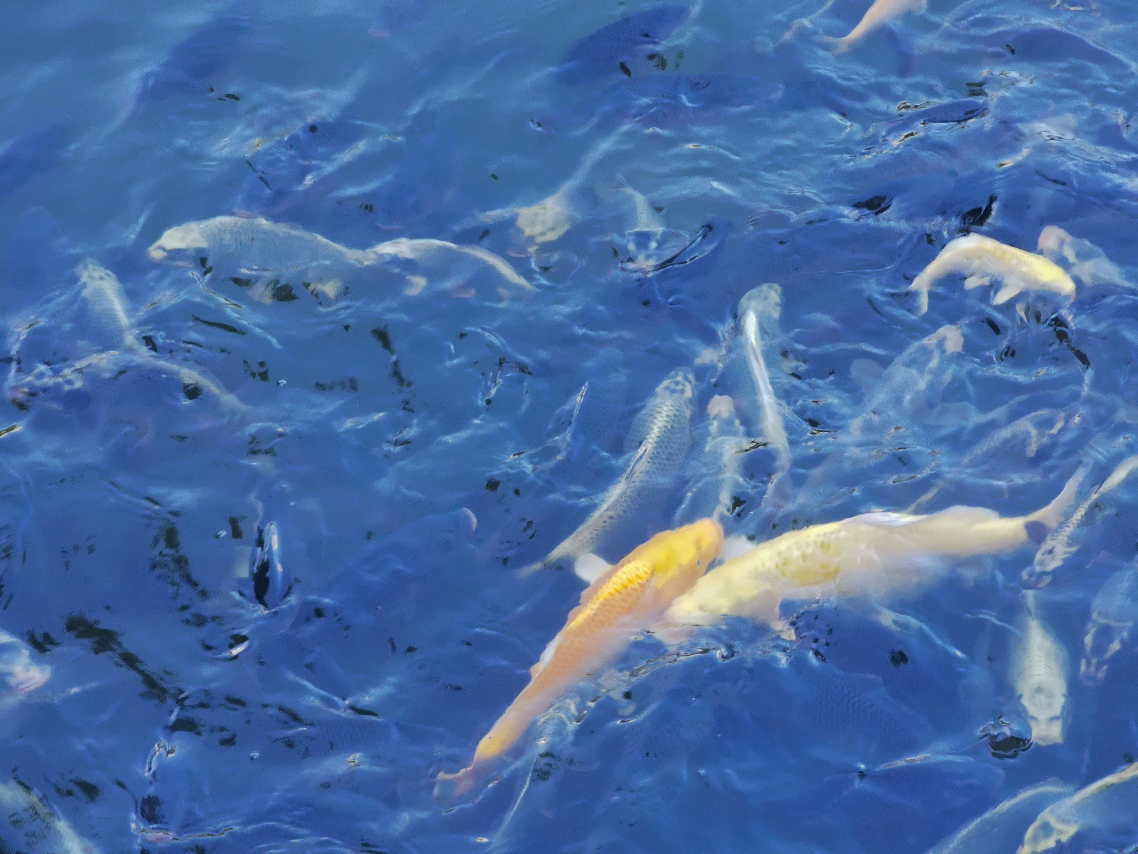 我可以疗愈你1小时哦，生活的烦恼尽管抛过来