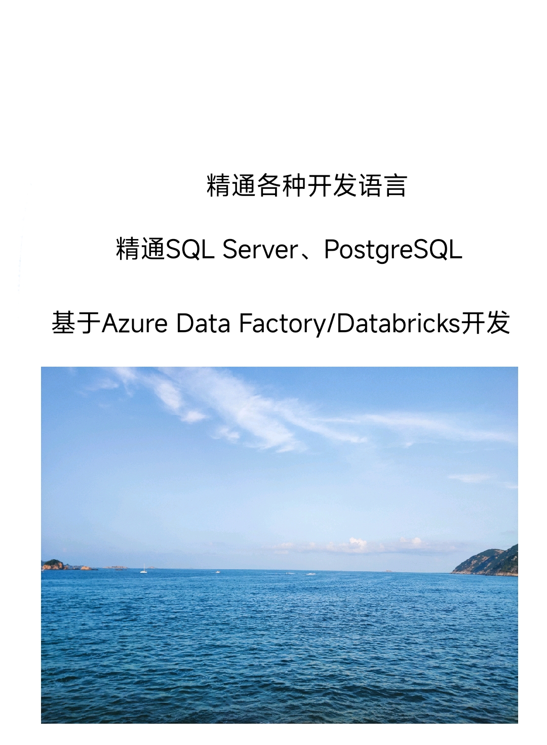我可以一天内做Databricks大数据开发