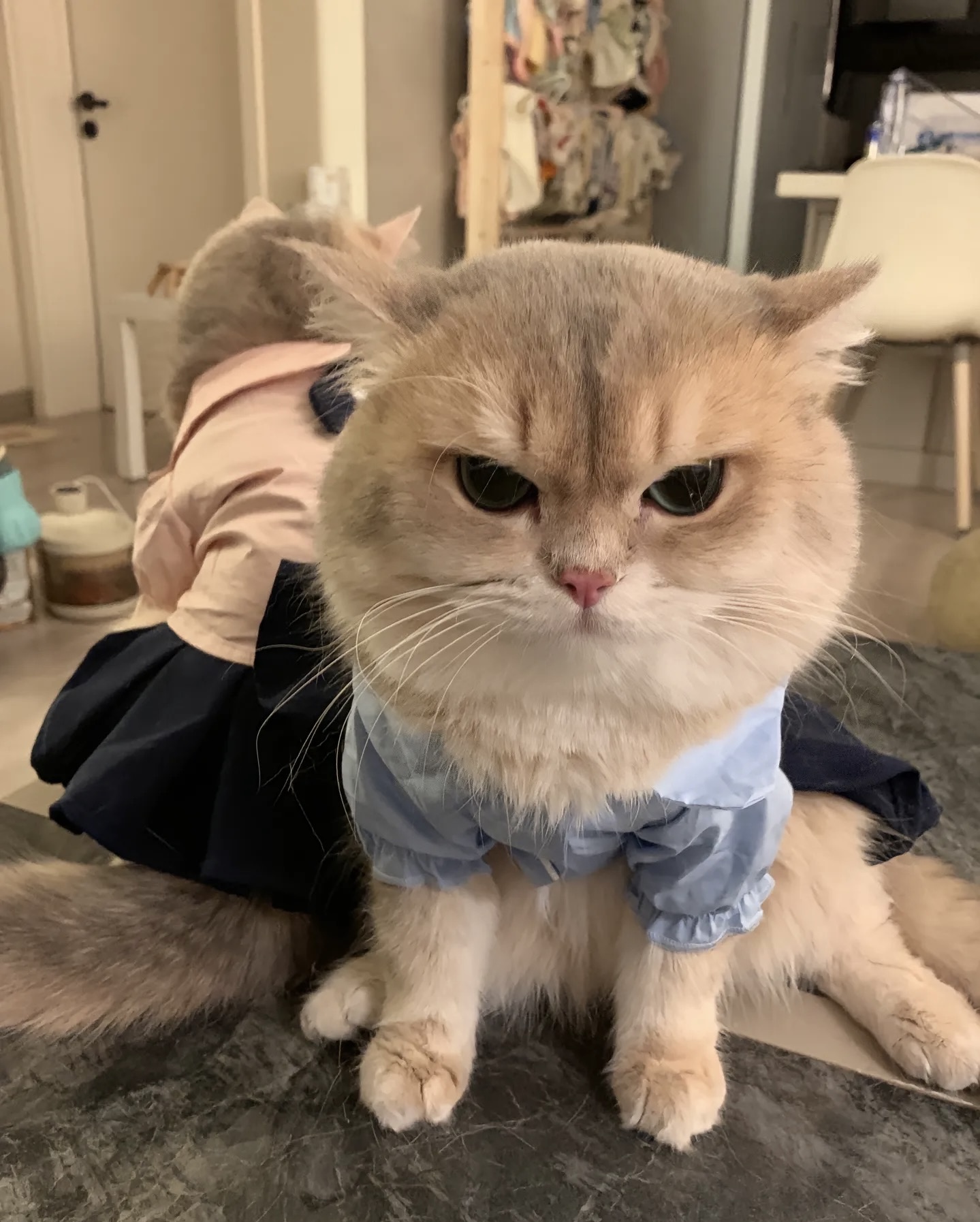 我可以开发和维护JAVA后端项目，3-4天内完成