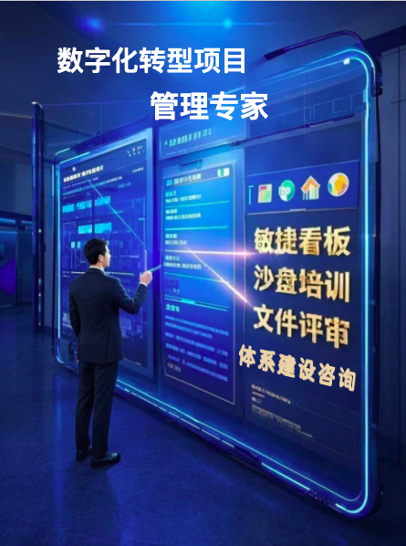 我可以提供一次文件专业评审服务，2小时完成