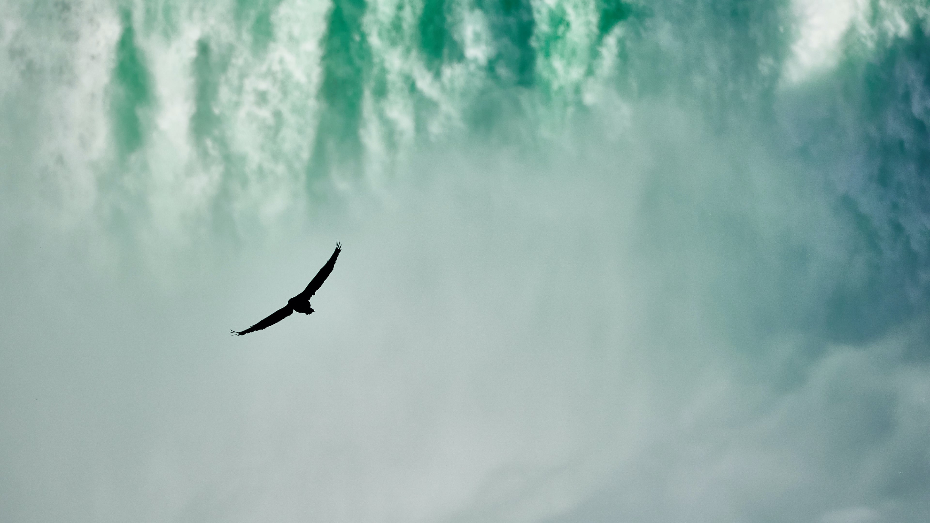 我可以一个文稿配音