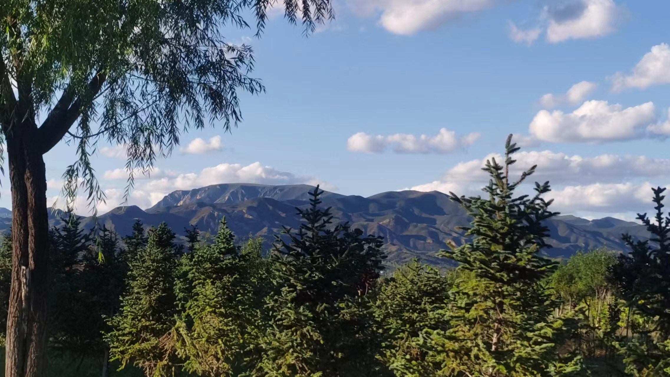 我可以1分钟准确的校队音频