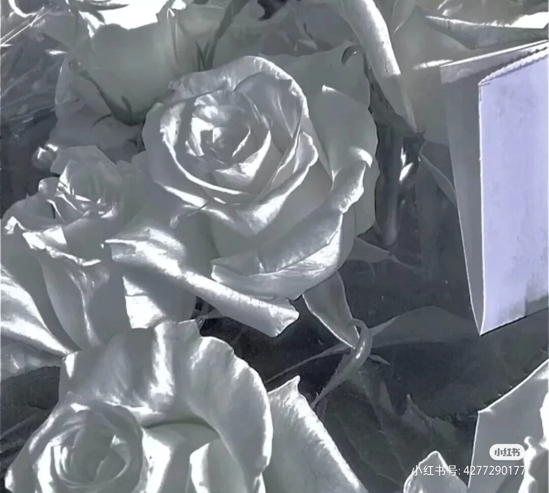 我可以可以完成一篇书籍配音