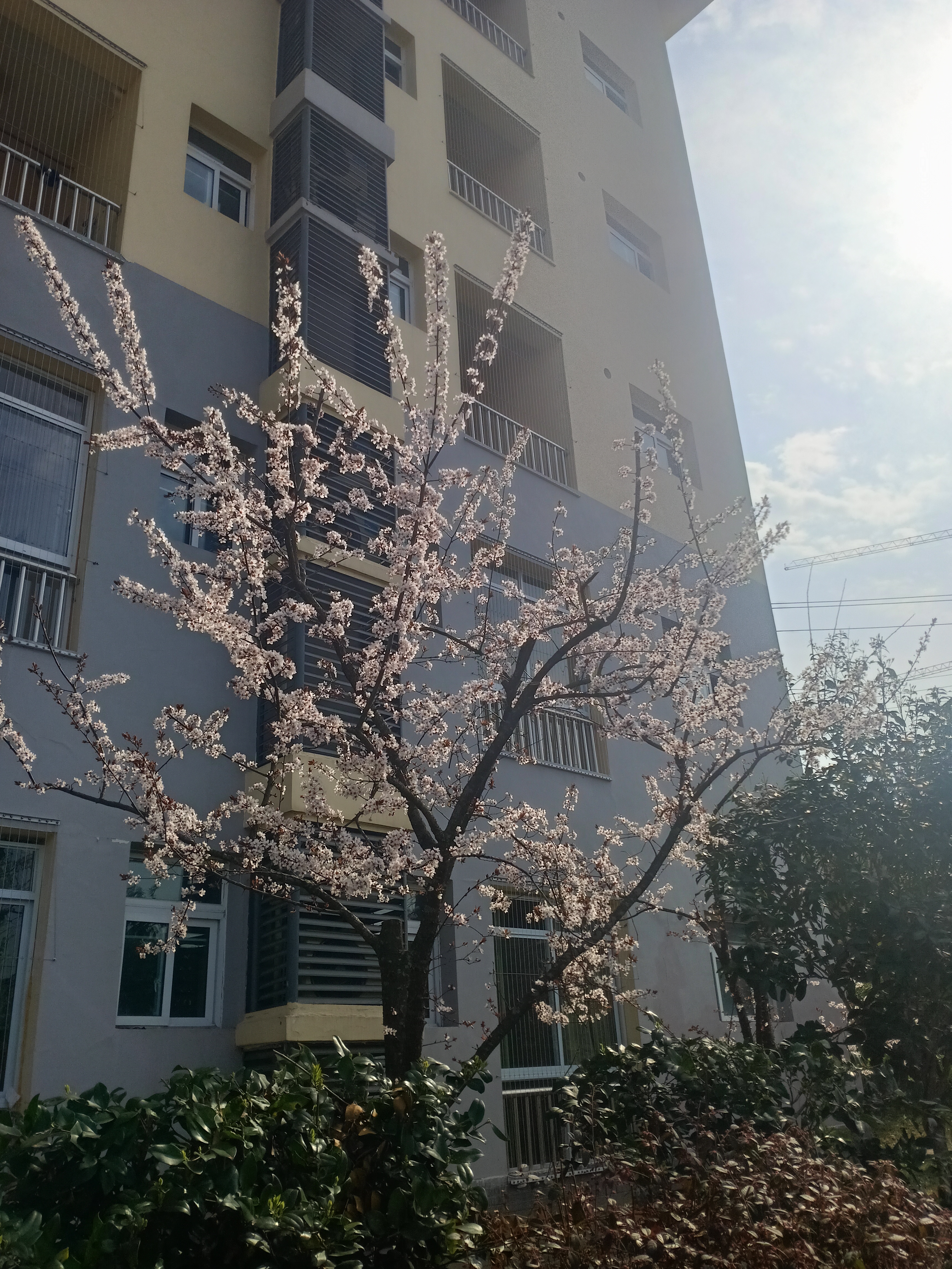 我可以完成与客户沟通，解决客户的一个或多个问题