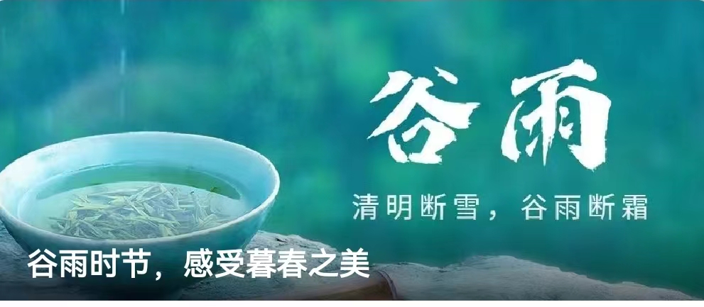 我可以对一篇公众号进行优质的排版