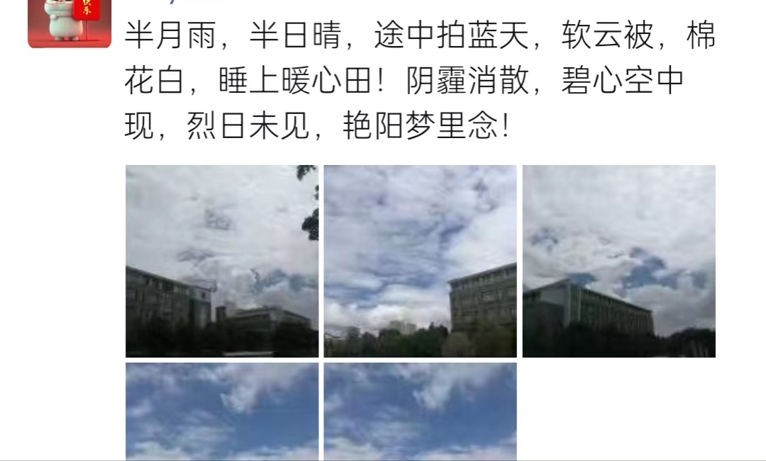 我可以写50字以上的新闻稿、论文等各类文章，审校也是日常工作