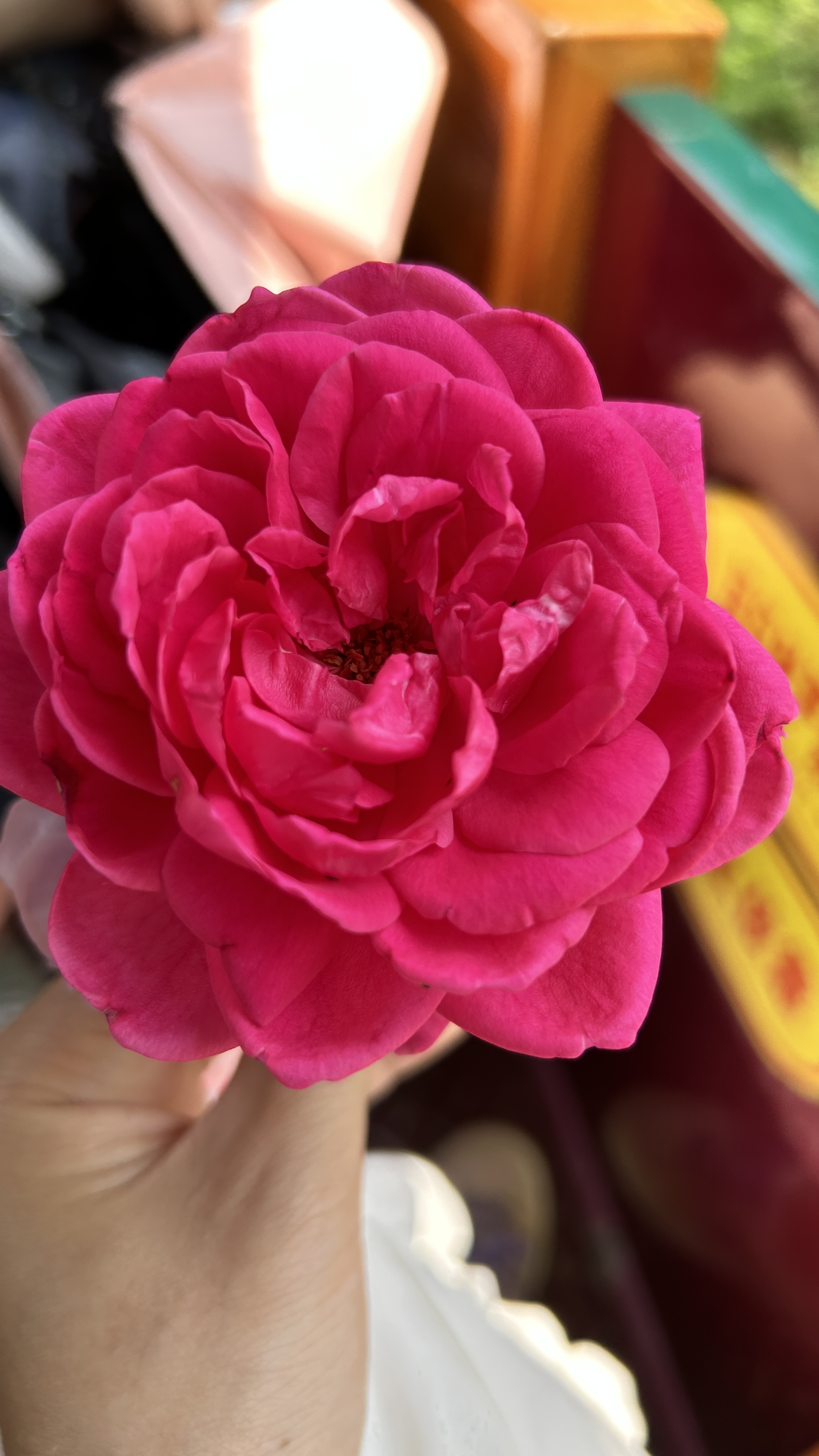 我可以叫人起床一次