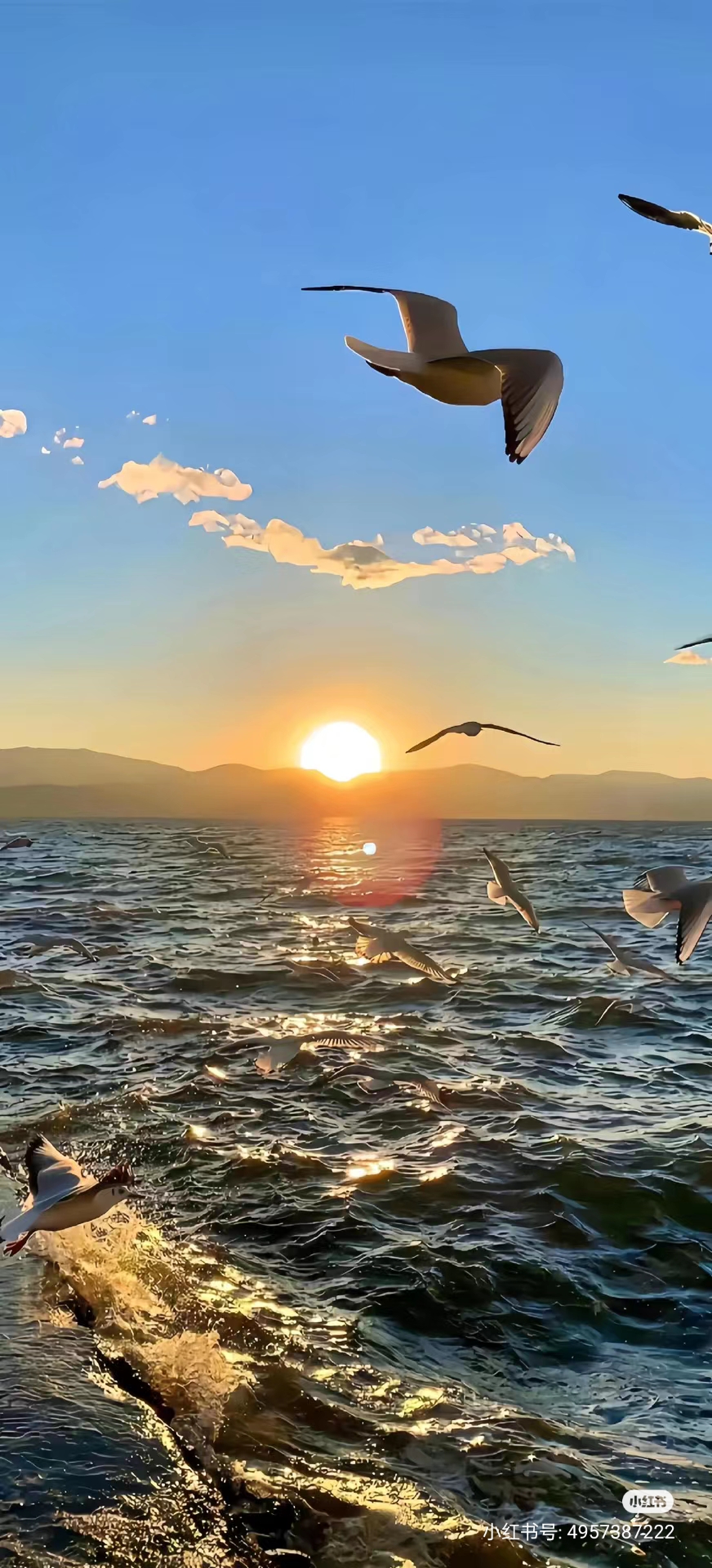 我可以在Linux系统中安装所需软件与配置，如安装1个Oracle11g数据库