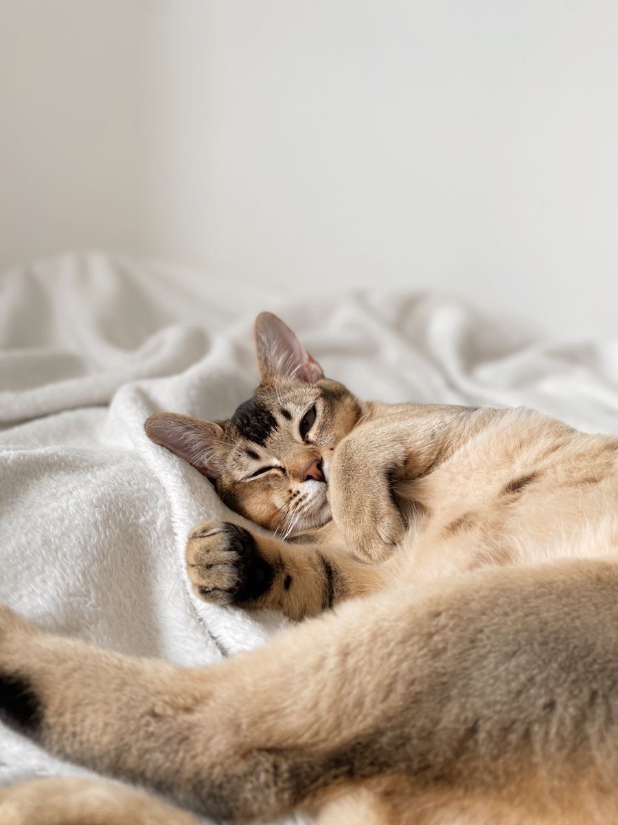 我可以1000元电商海报制作