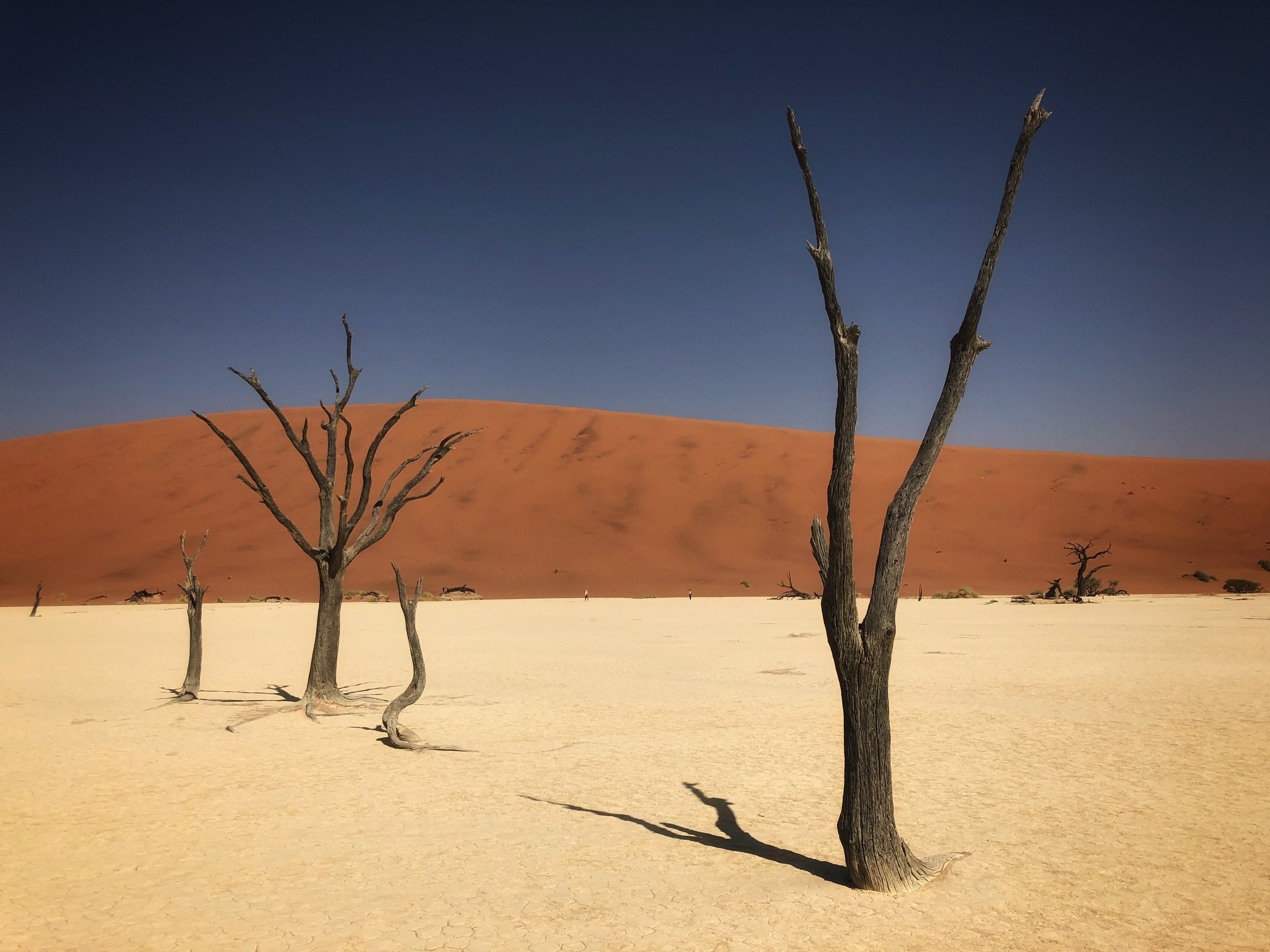 我可以商业数据及文献数据分析666