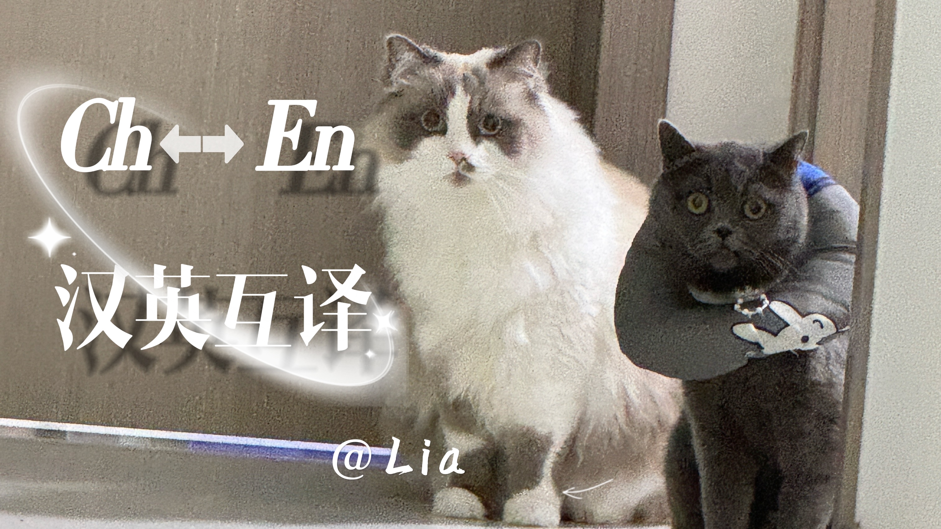 我可以对科技产品、游戏及影视文件进行汉英互译，日均3000词/天；严谨务实，守信守密