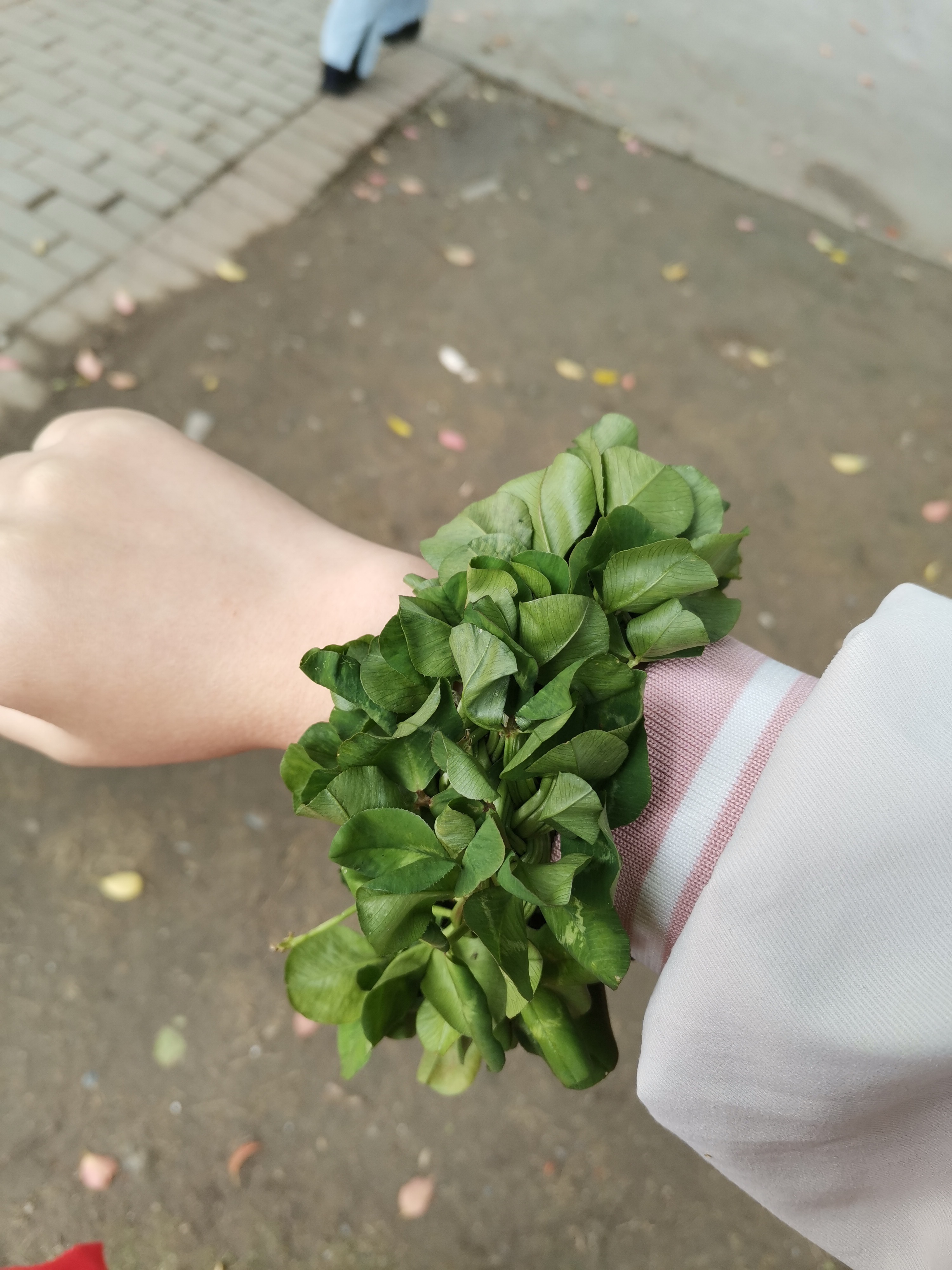 我可以从一个游戏给大家带来幽默