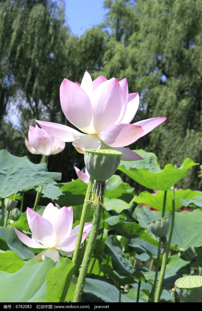 我可以做心理疏导1个自由自在的放松心情