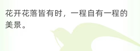 我可以做一次你最好的倾诉、交流对象