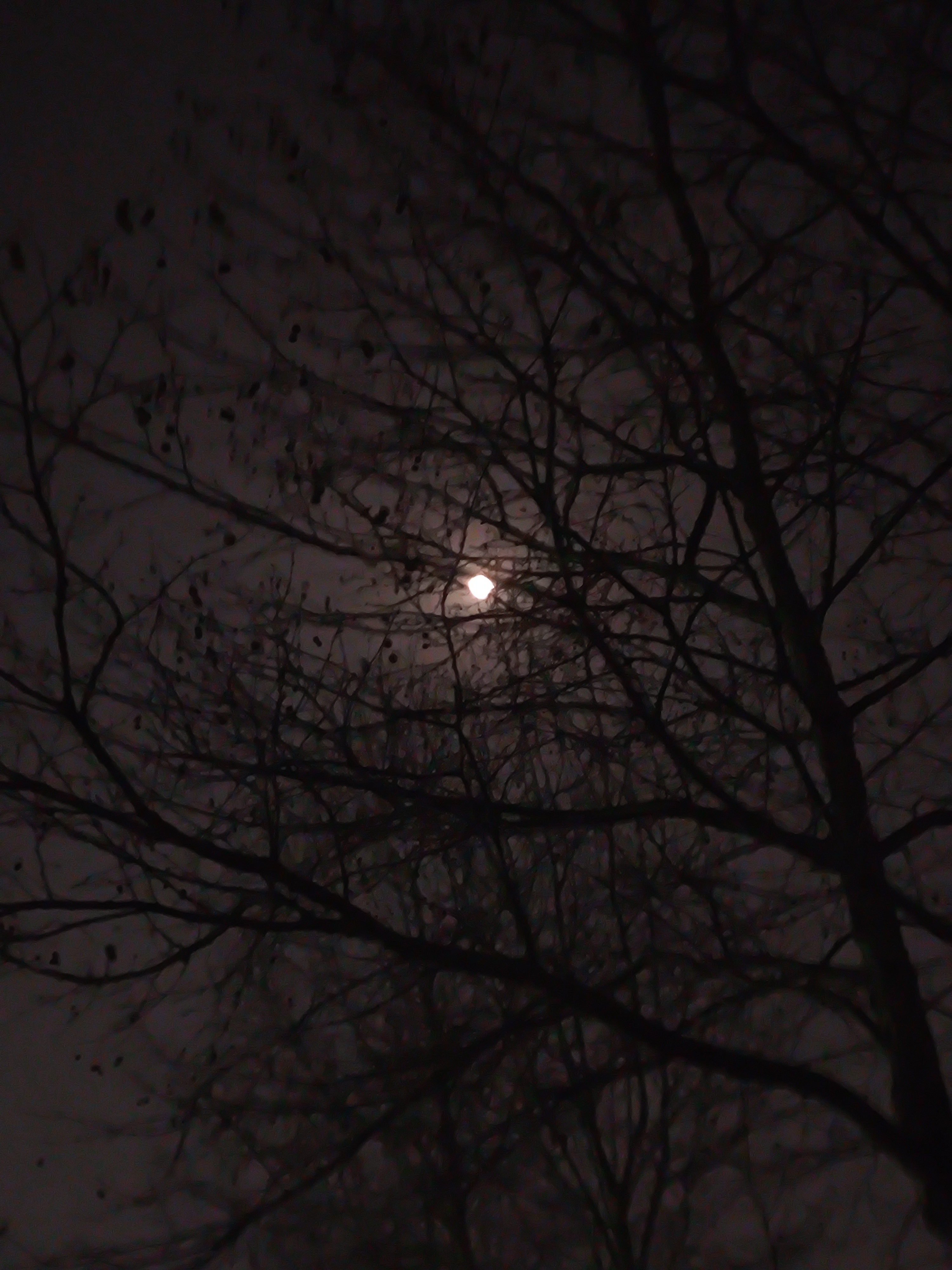 我可以接单后一小时内完成15个2.5min分钟内视频审核