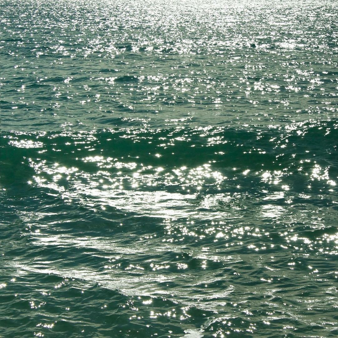 我可以做一个社群运营