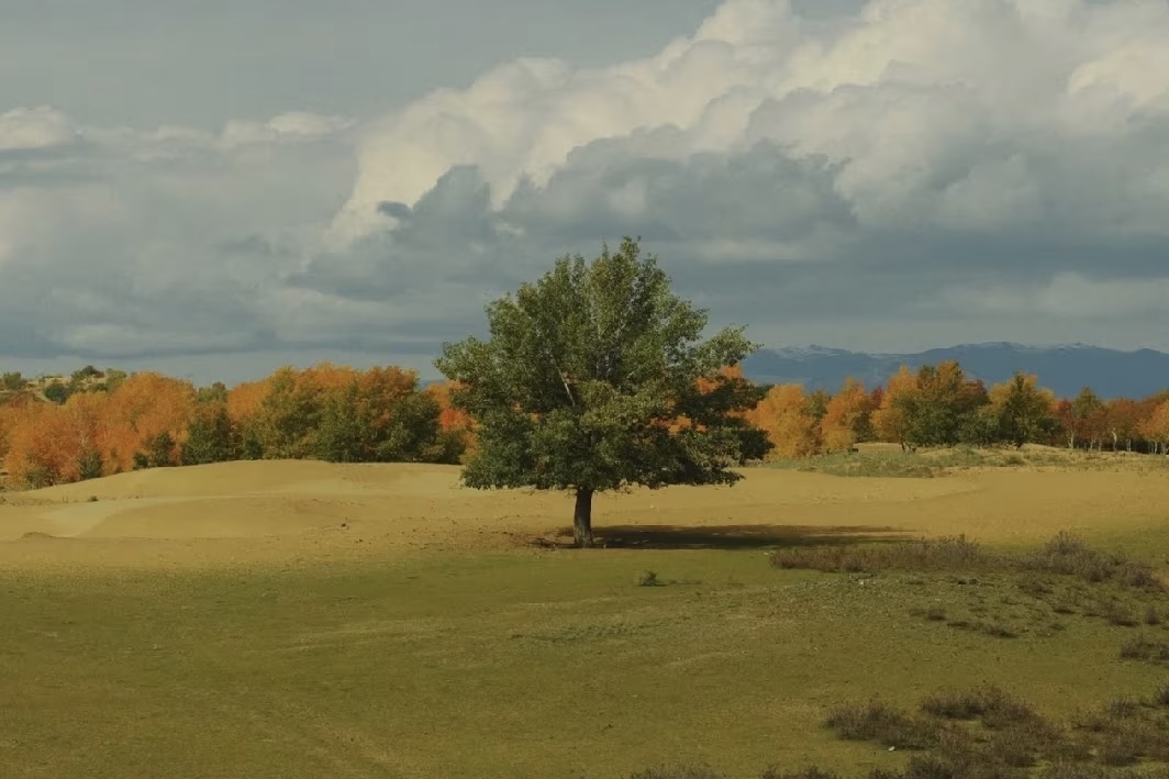 我可以成为你的一位最好的聆听者