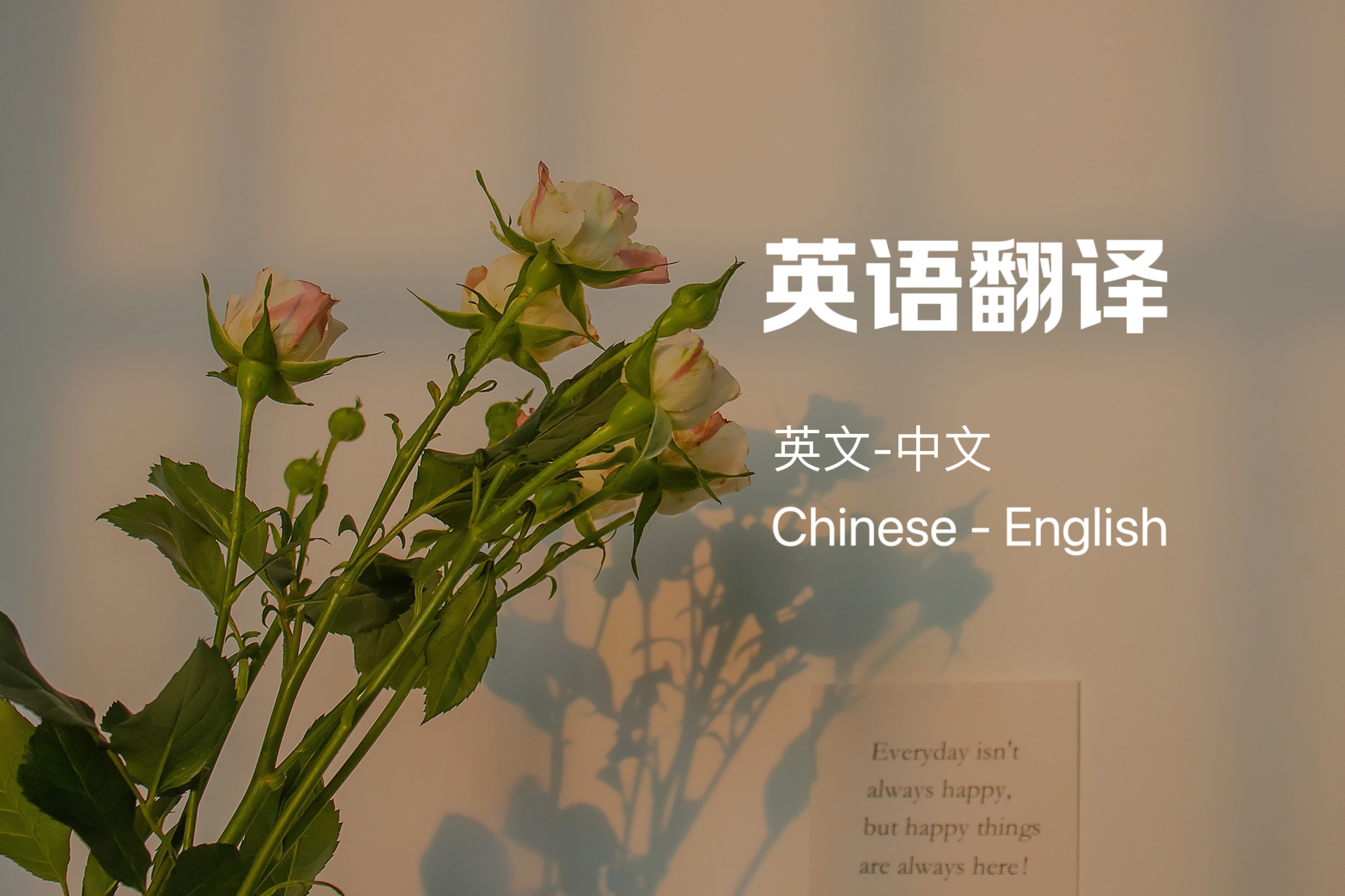 我可以翻译100-500字英文文案