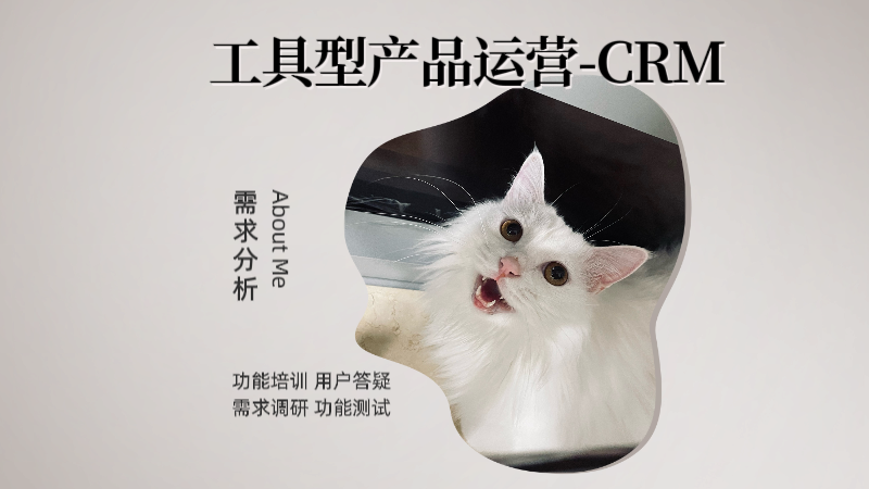 我可以做CRM产品运营，（1个需求）