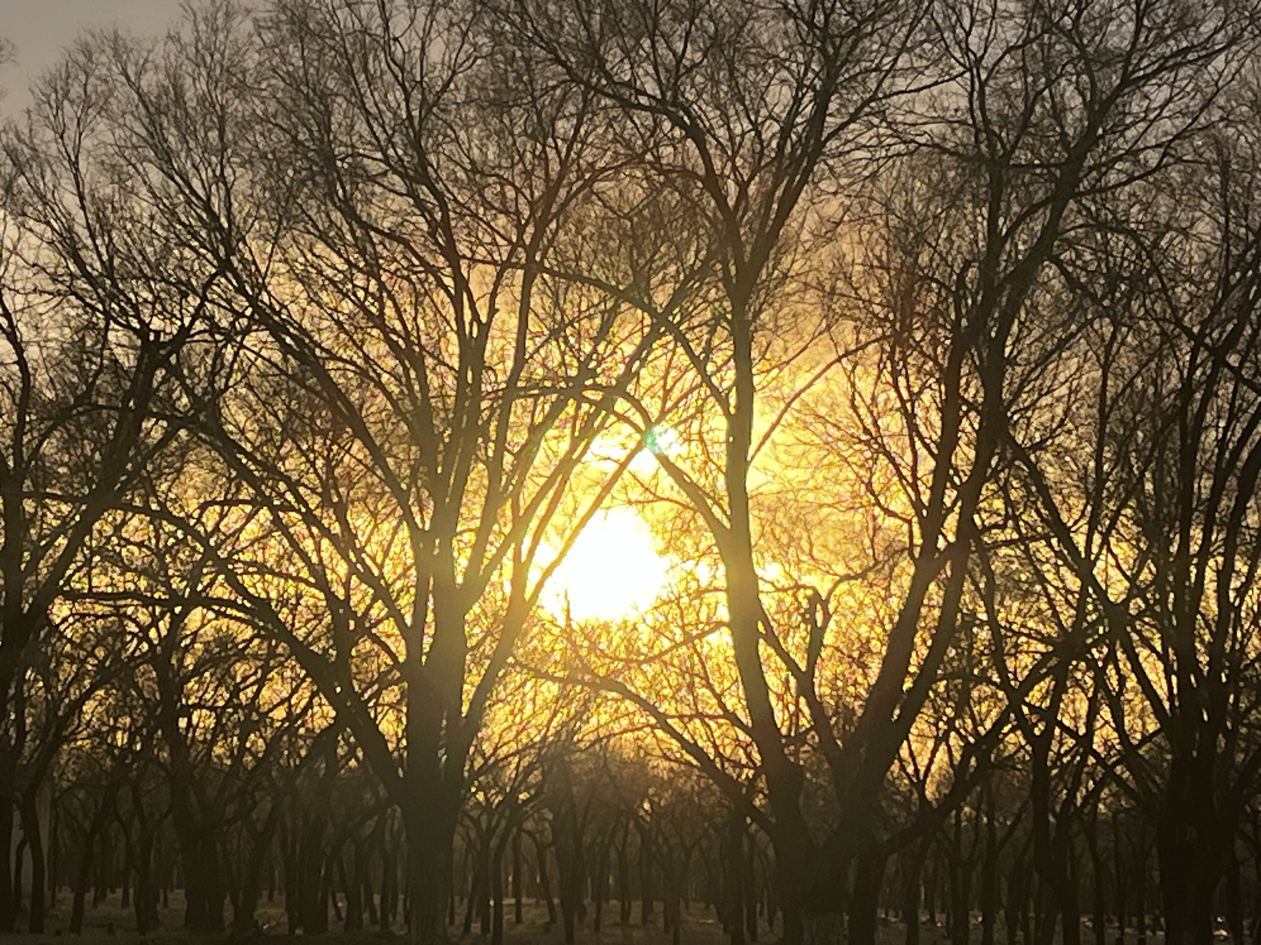 我可以交付1000台规模的服务器软硬件产品