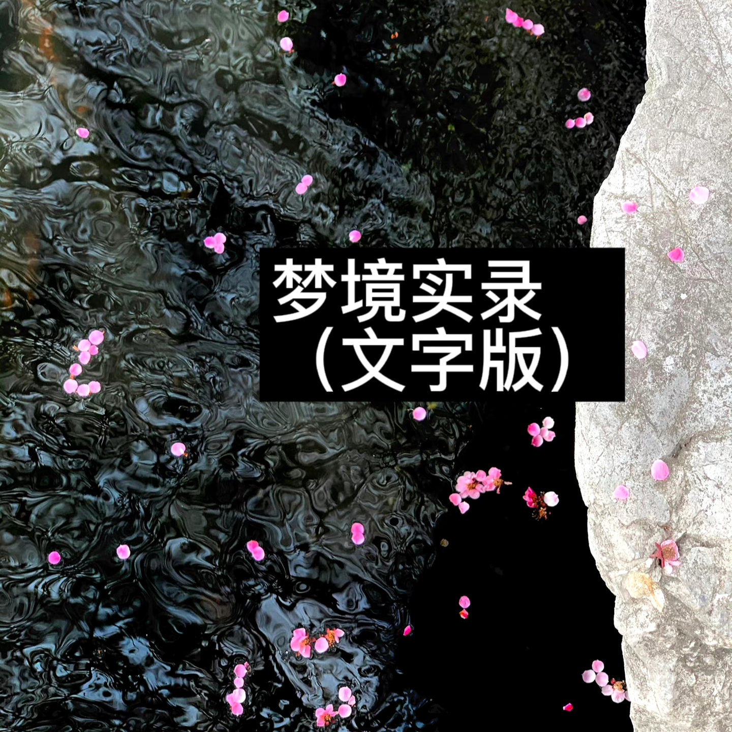 我可以提供一个梦境记录