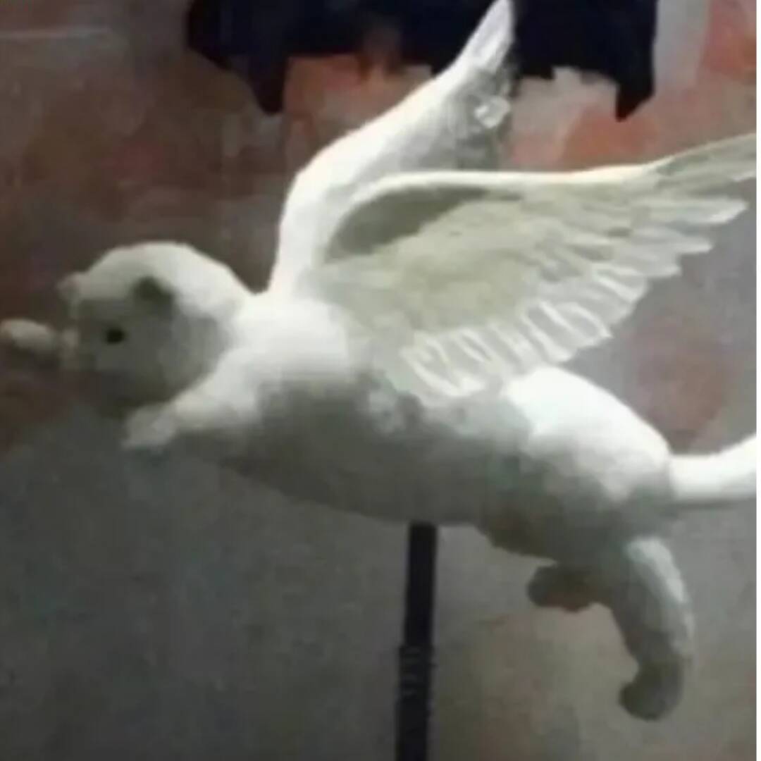 我可以• 我可以完成500字的知乎/微博等渠道的产品宣传文案的编写